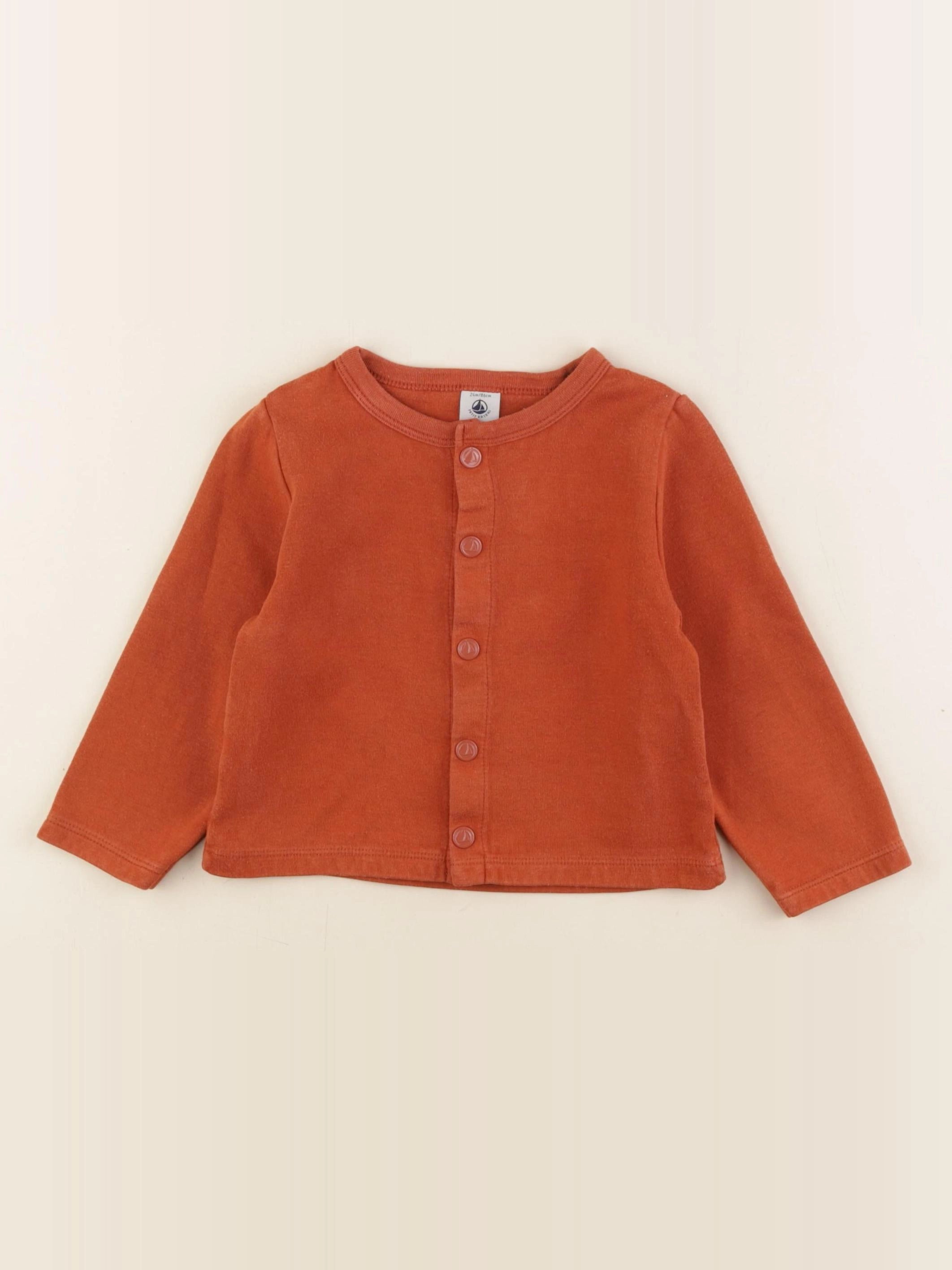 Petit Bateau - tee-shirt marron - 24 mois