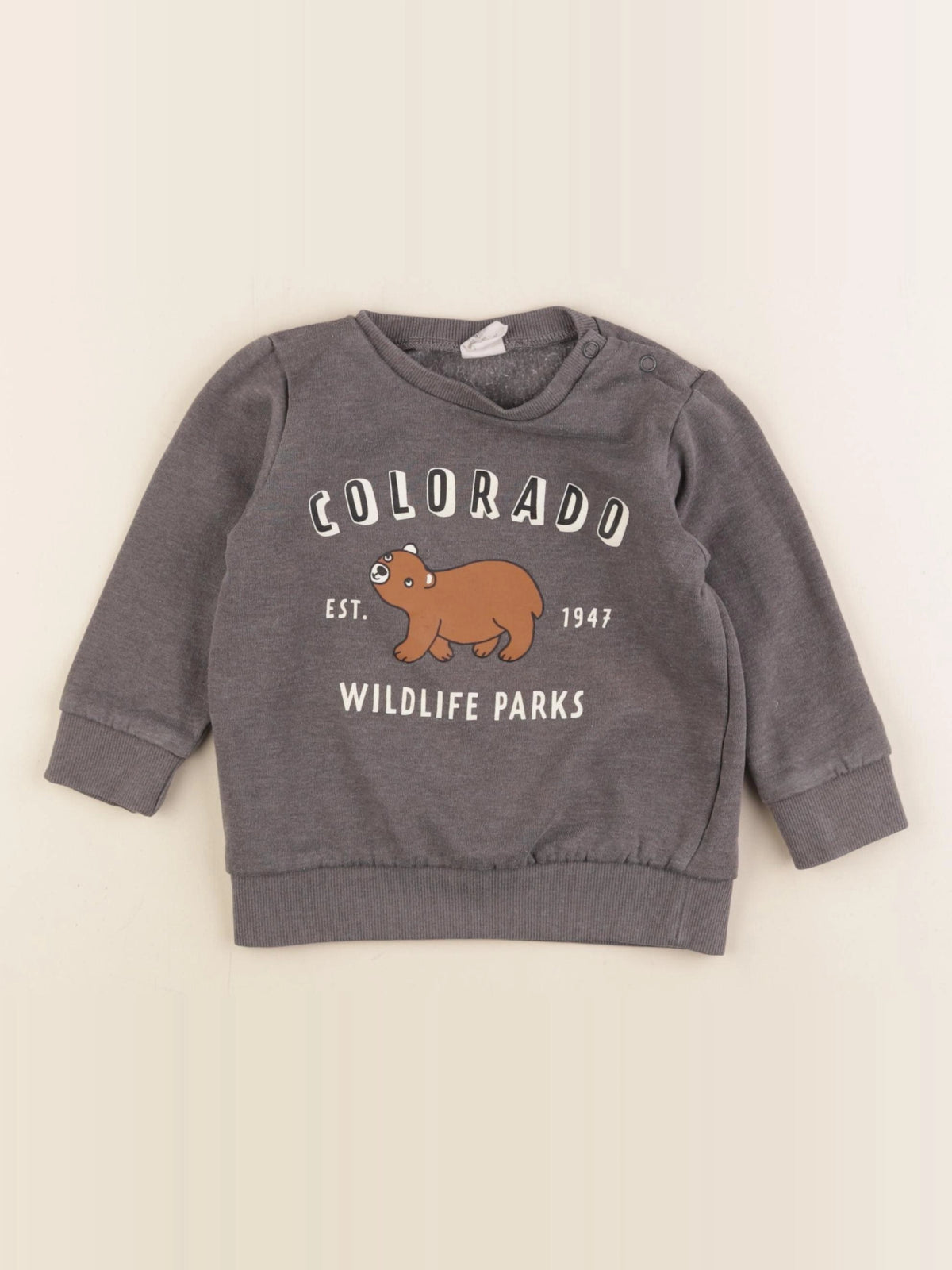 H&M - sweat gris - 12/18 mois