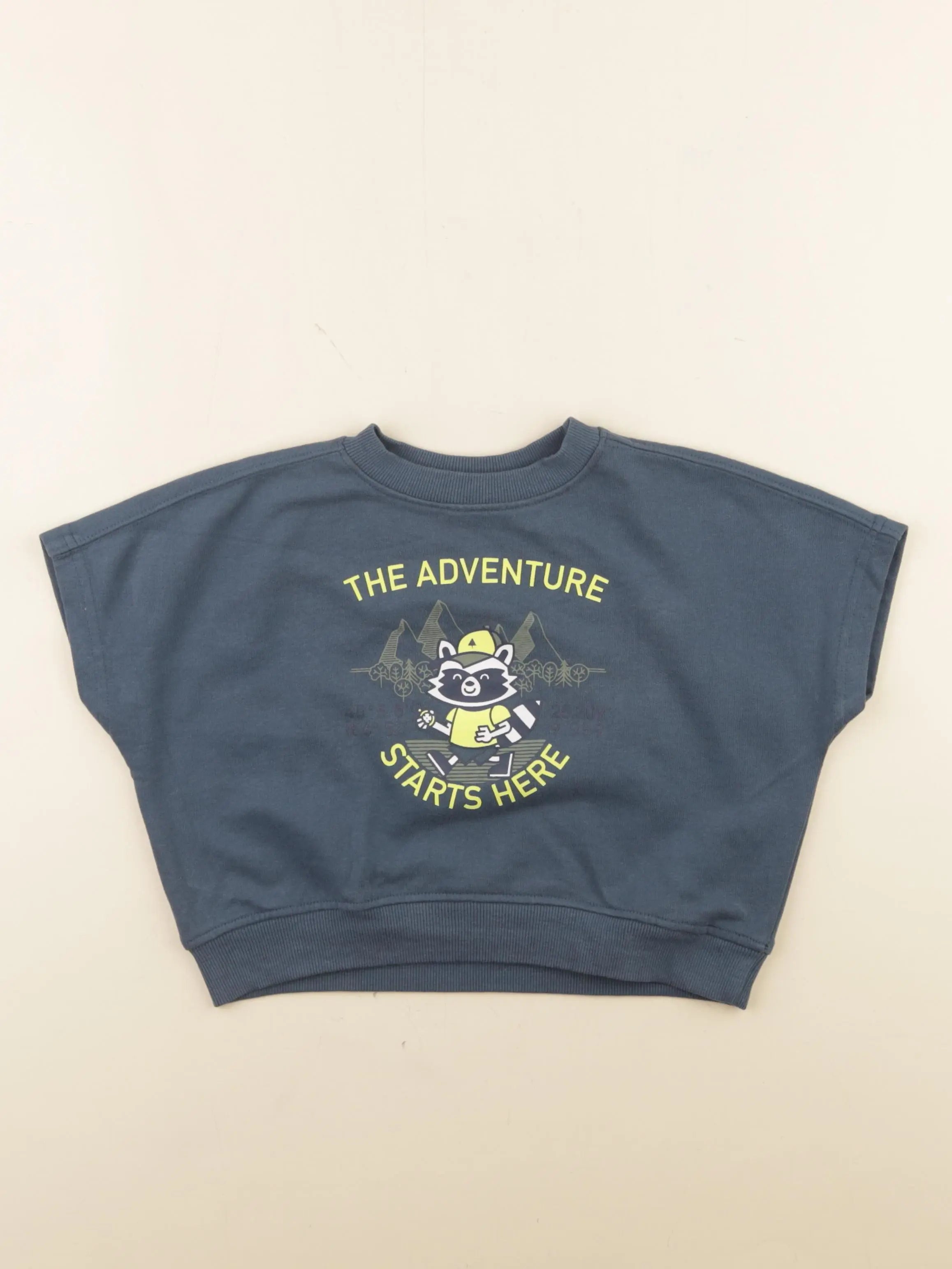 Vertbaudet - sweat bleu - 4 ans