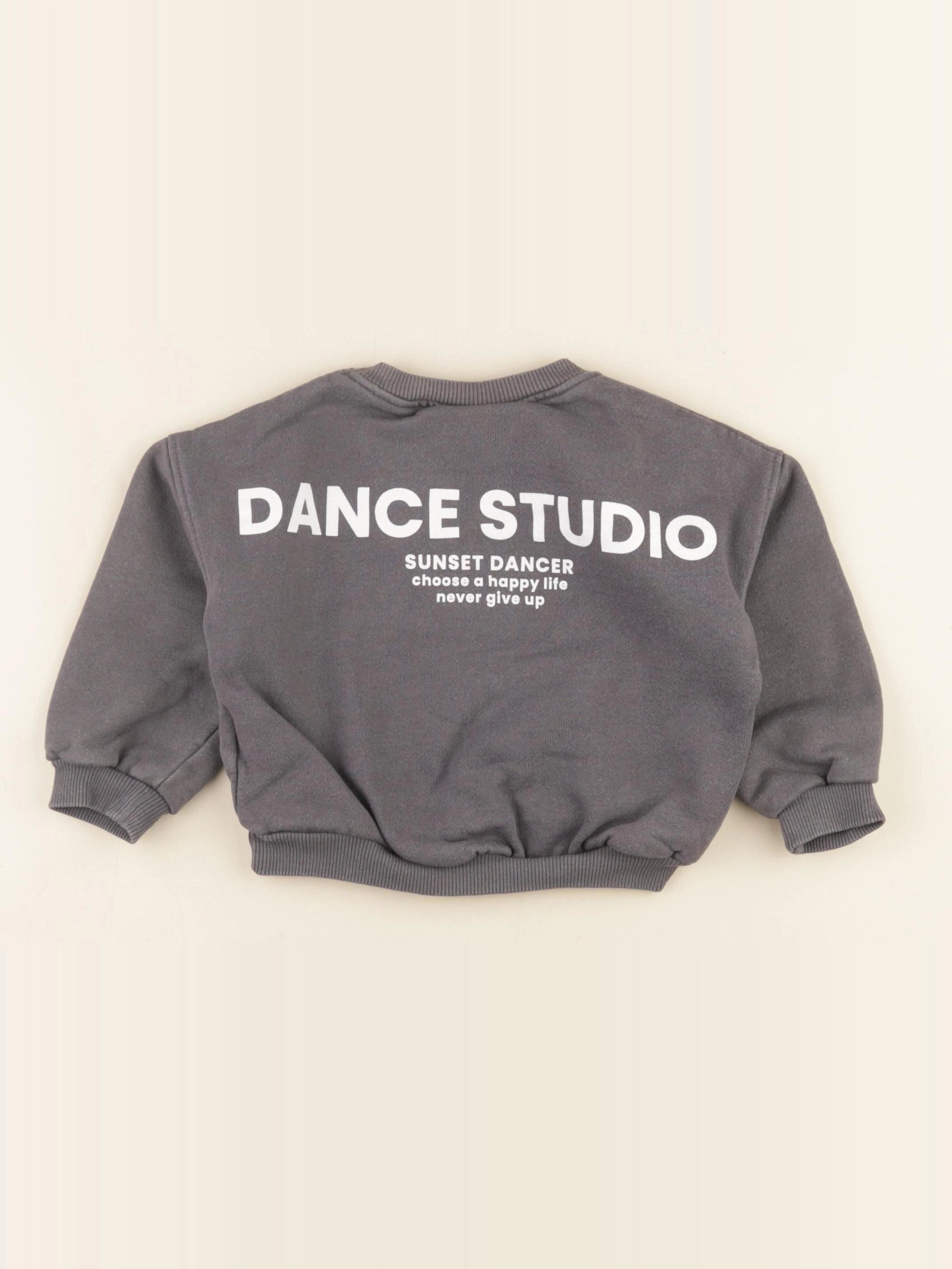 Zara - sweat imprimé au dos gris - 2 ans