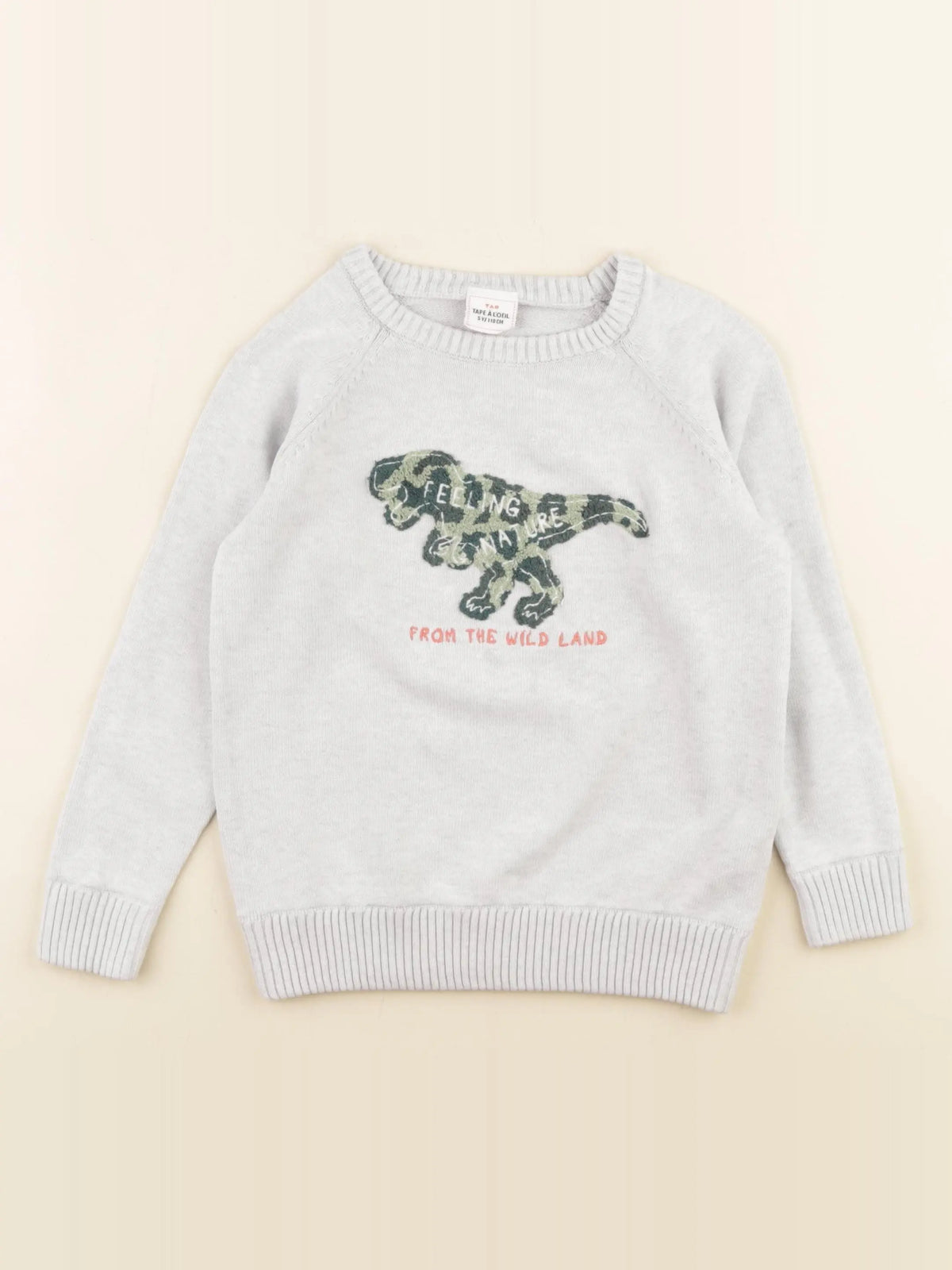 Tape à l'oeil - pull gris - 5 ans