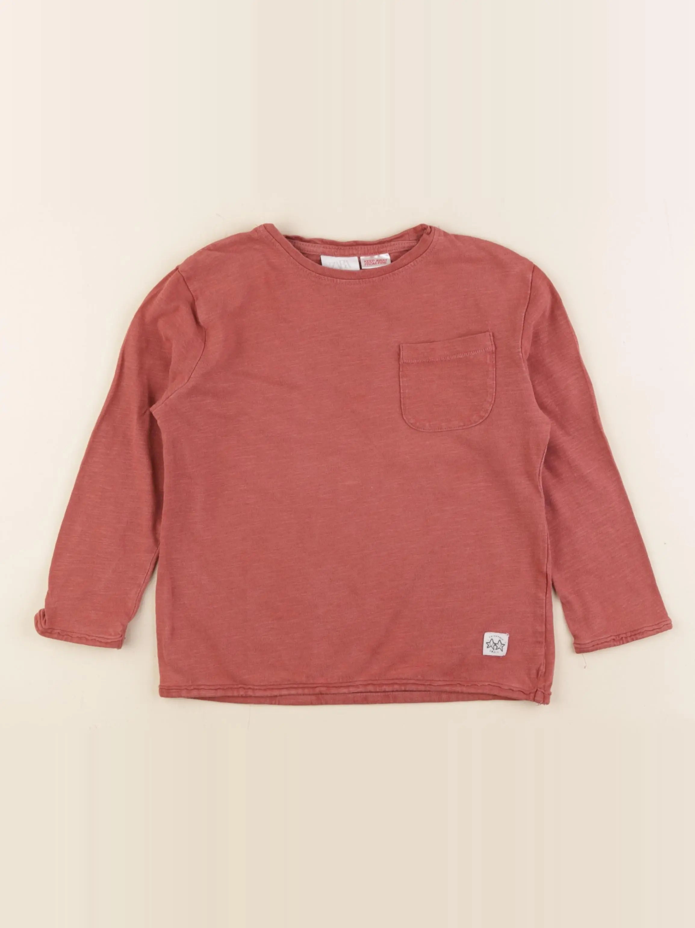 Zara - tee-shirt marron - 3/4 ans