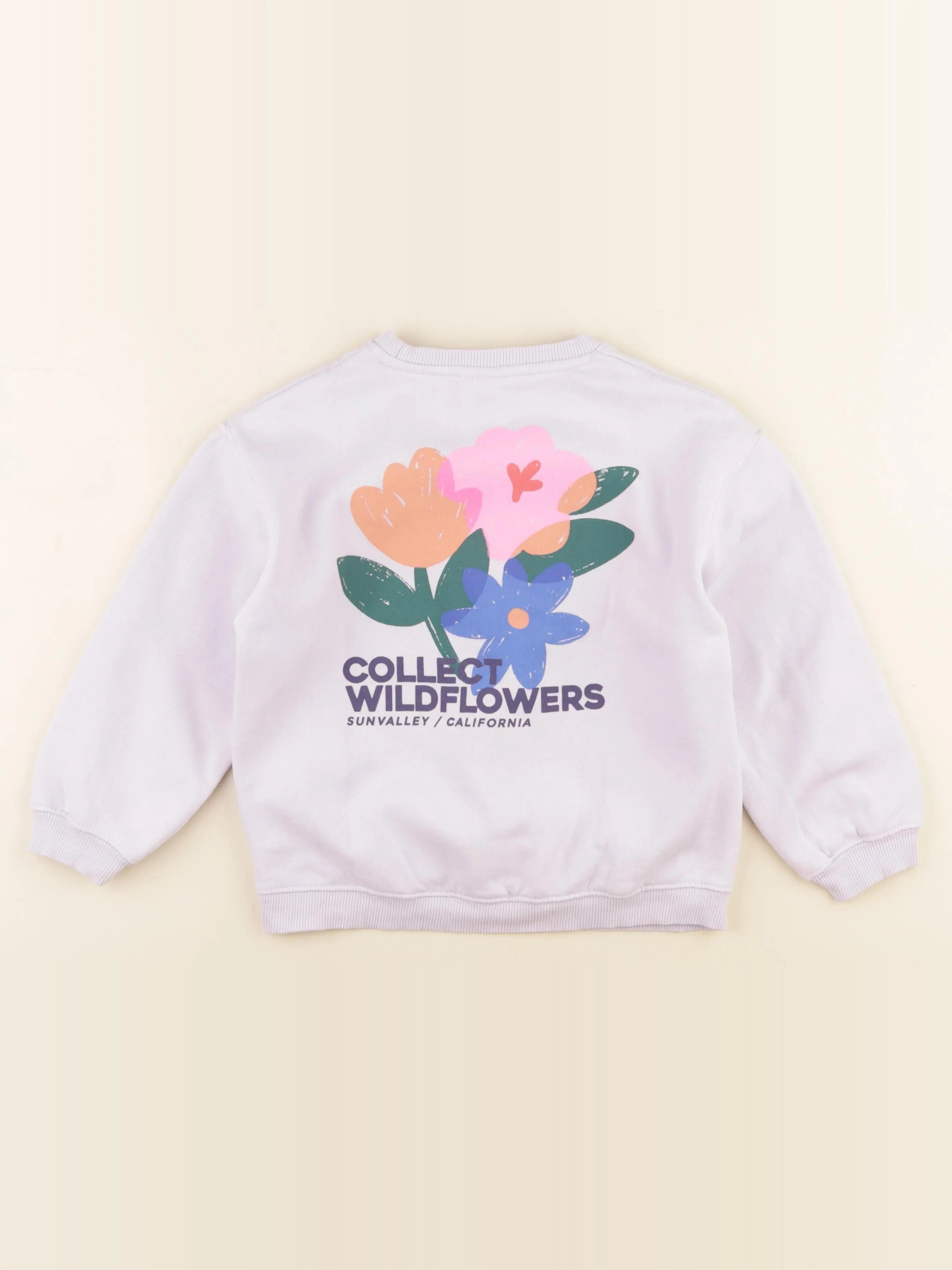 Zara - sweat imprimé au dos violet - 6 ans