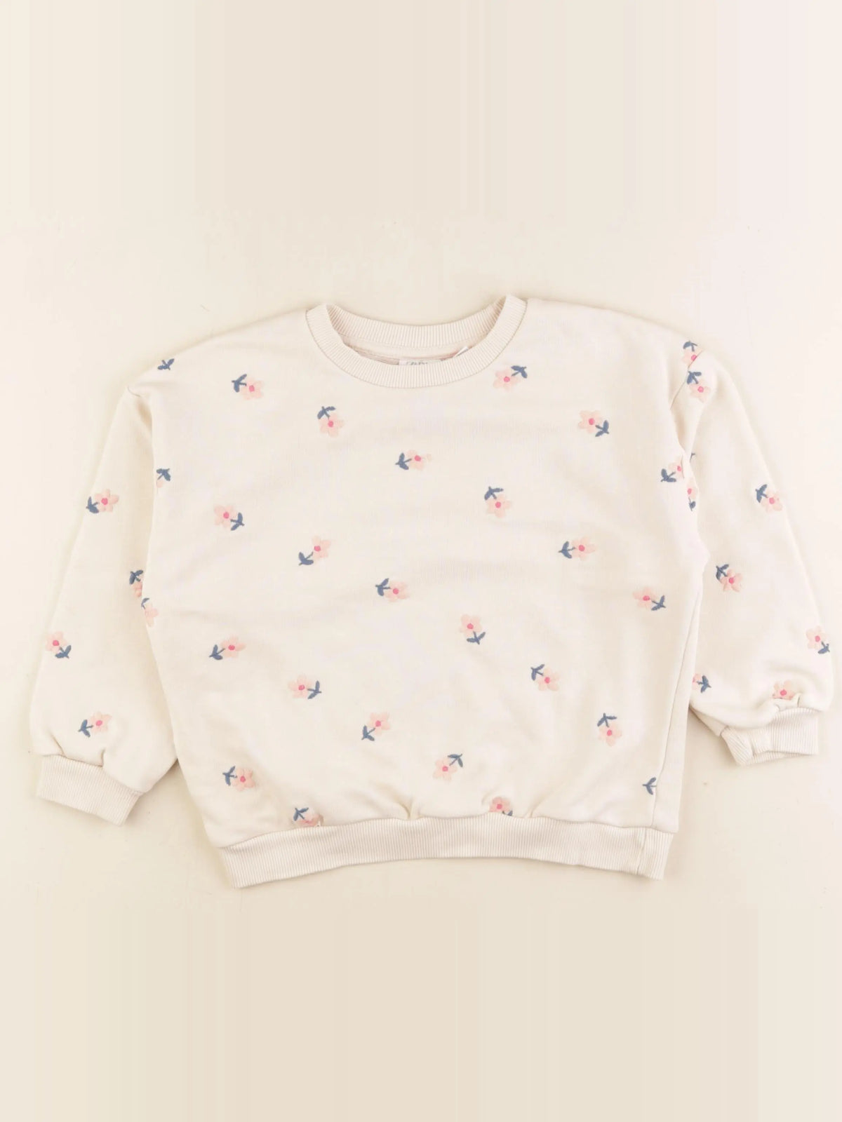 Zara - sweat beige - 5 ans