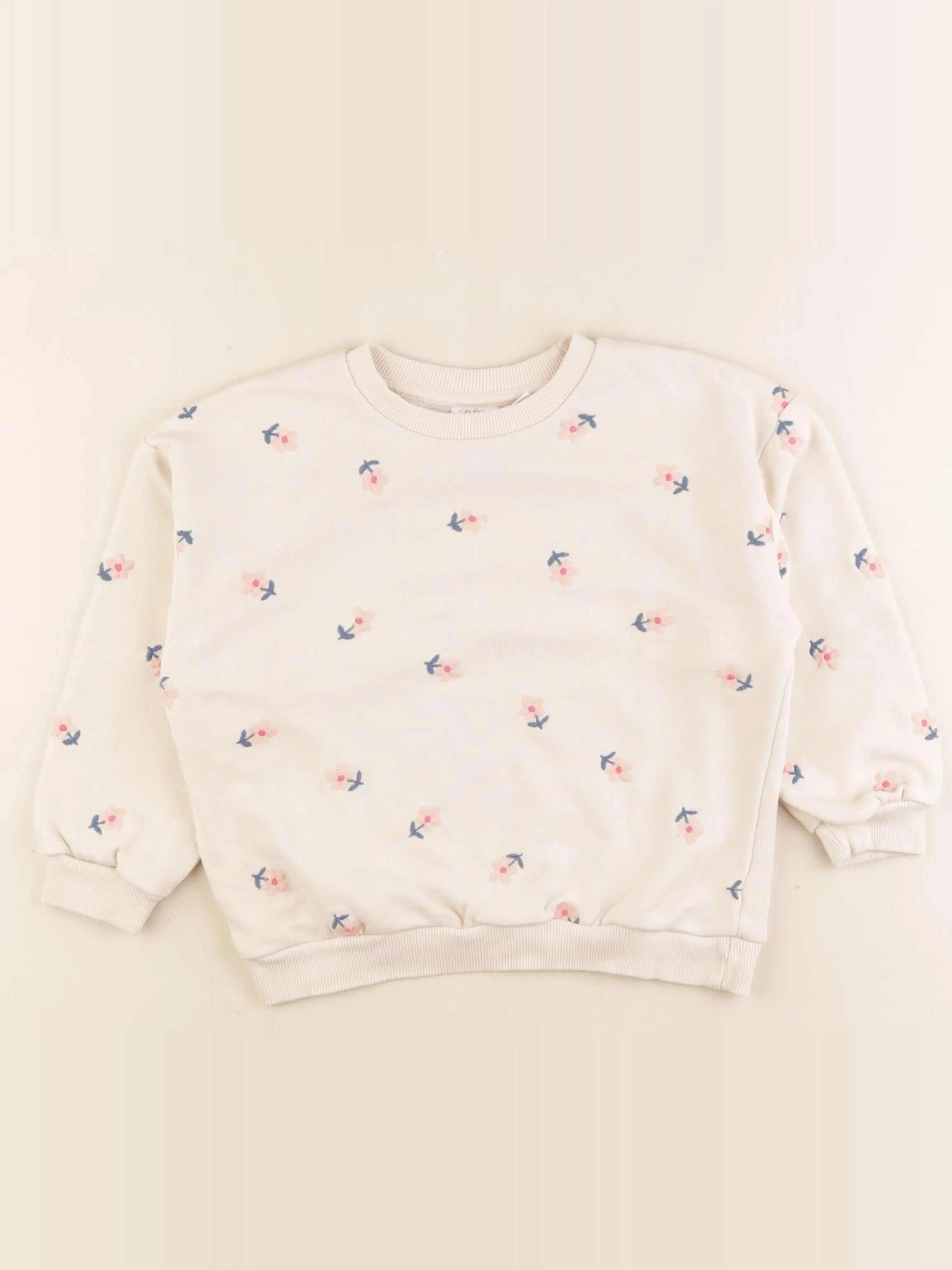 Zara - sweat beige - 5 ans