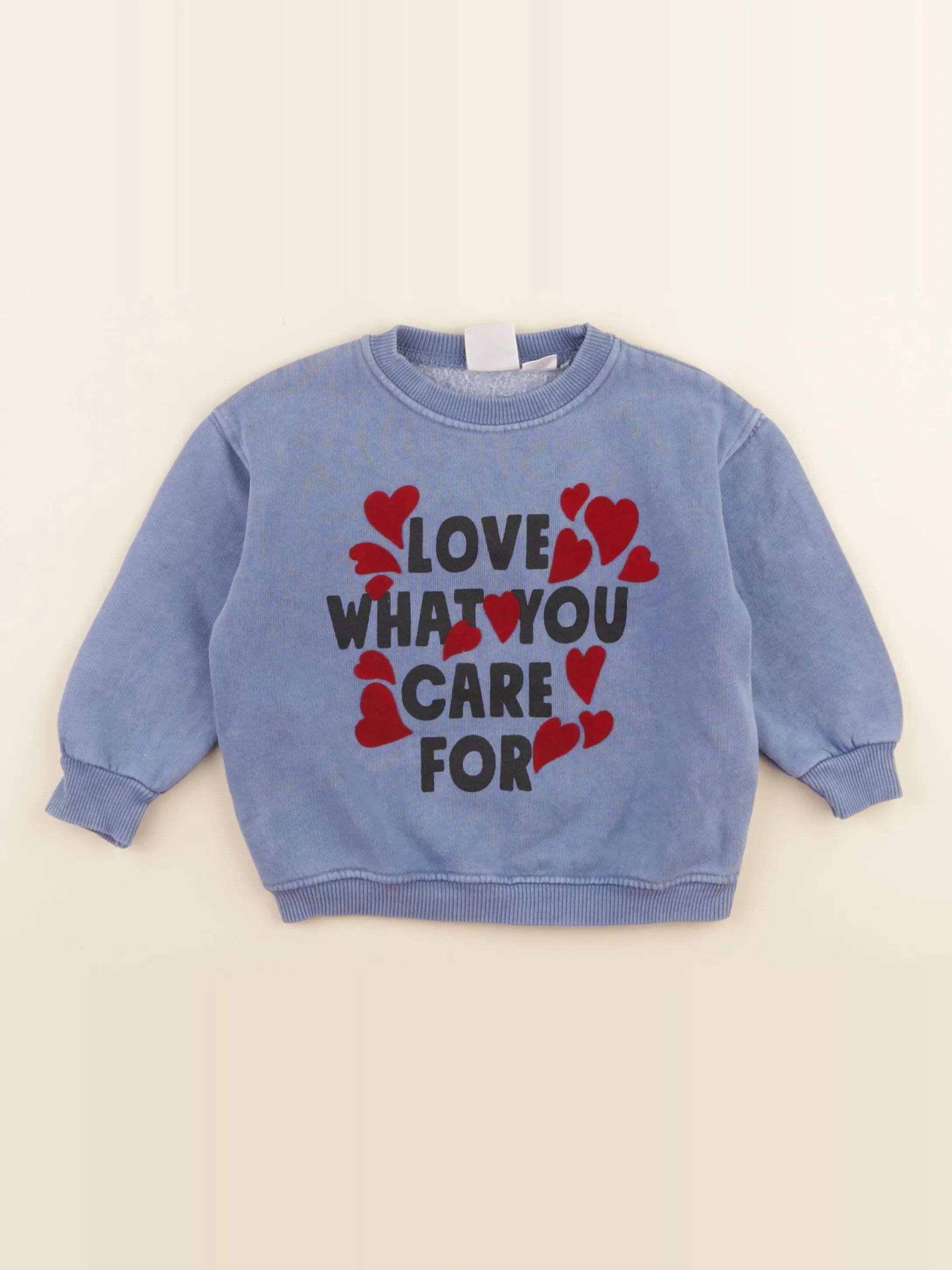 Zara - sweat bleu - 9/12 mois