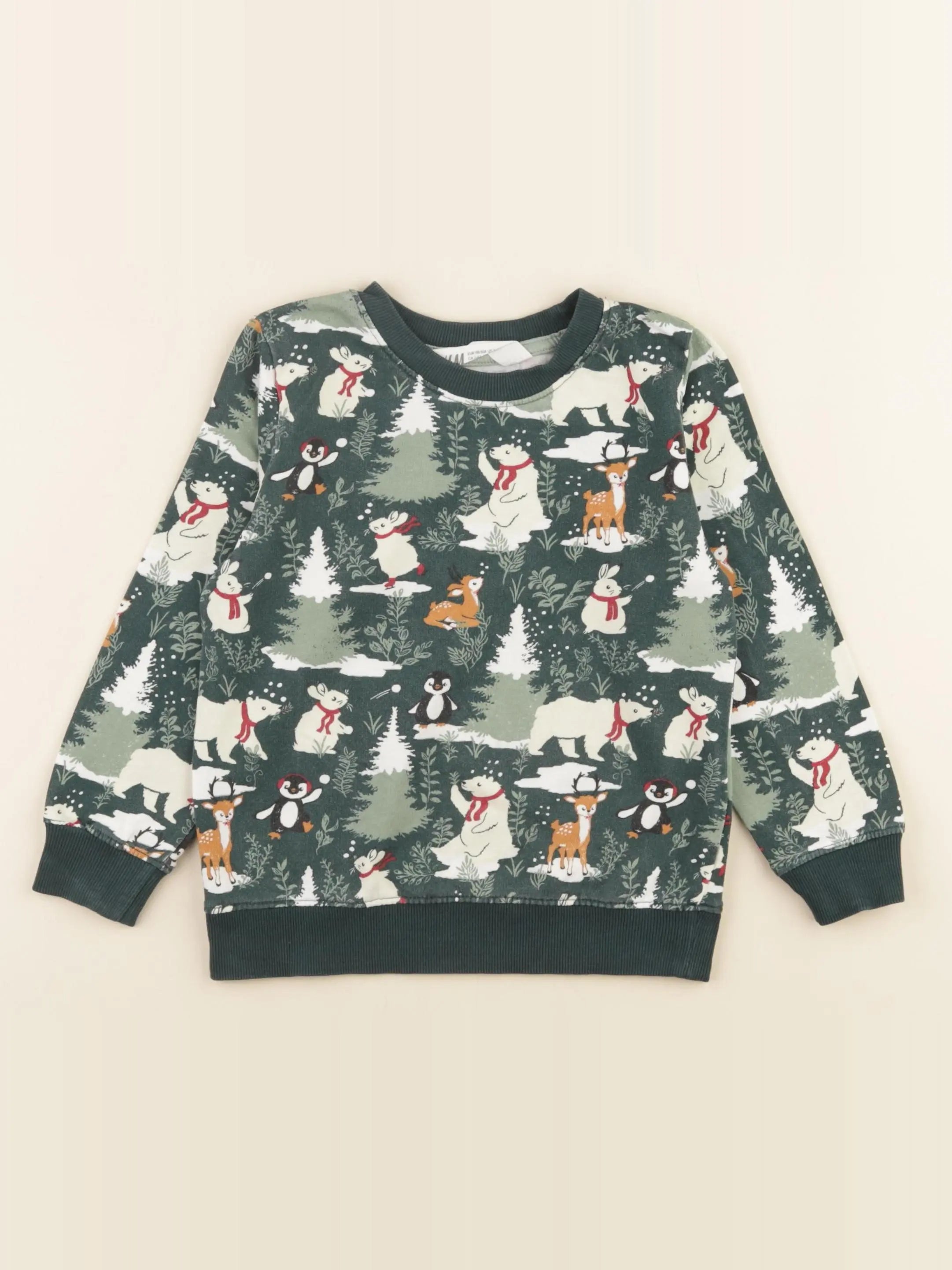 H&M - sweat vert - 3/4 ans