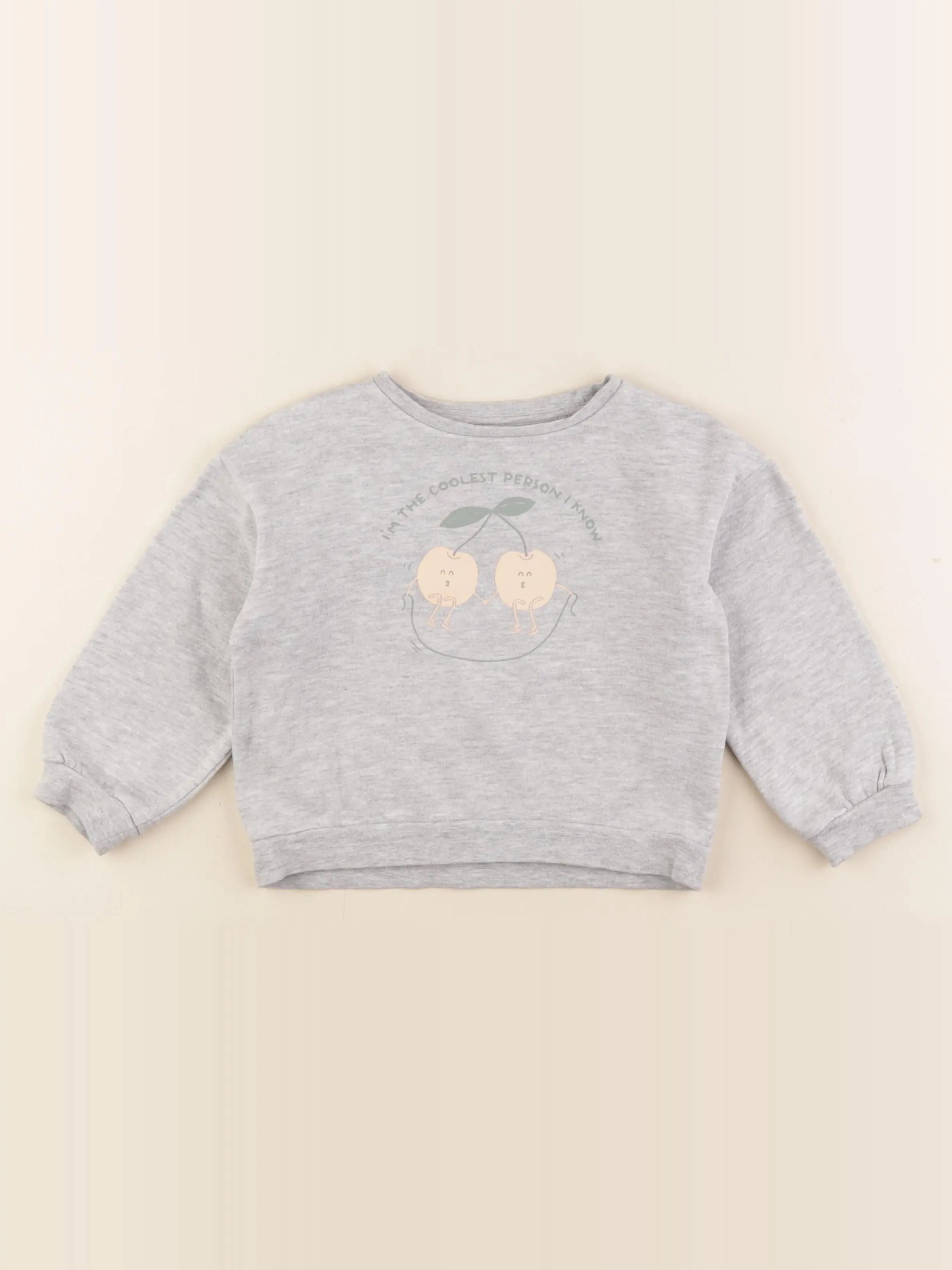 Vertbaudet - sweat gris - 3 ans
