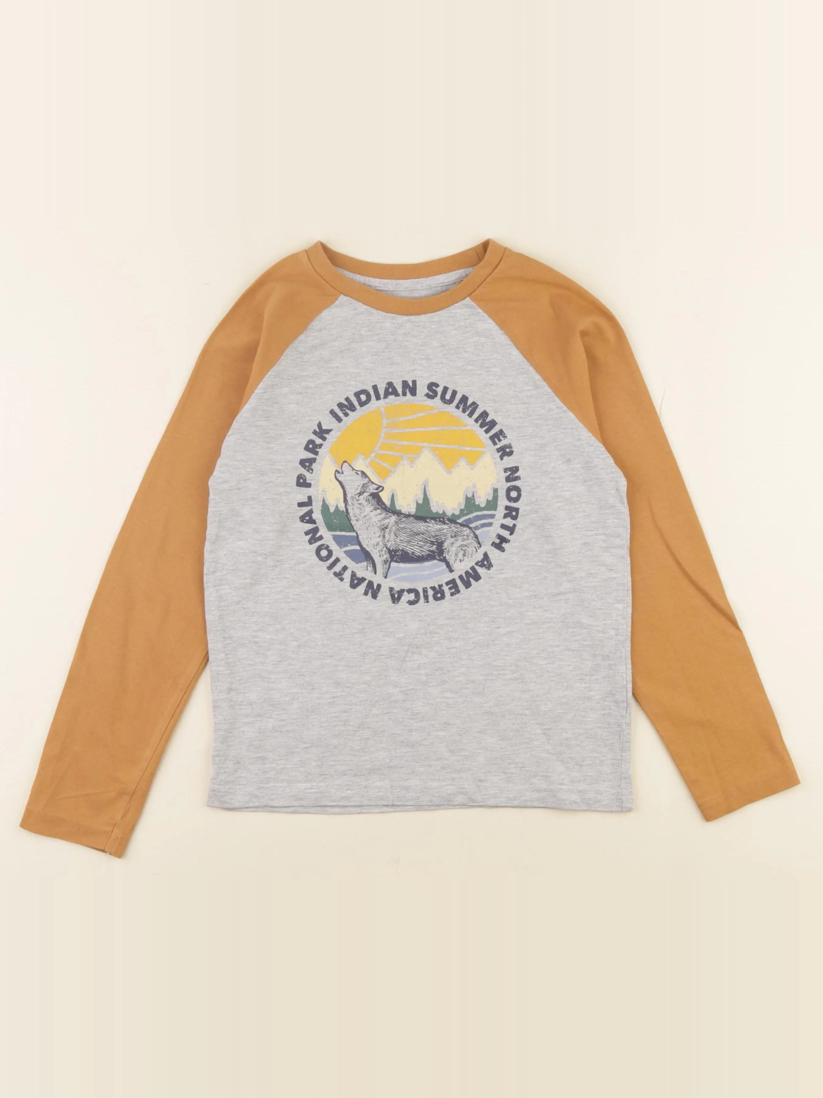 Vertbaudet - tee-shirt gris, marron - 8 ans