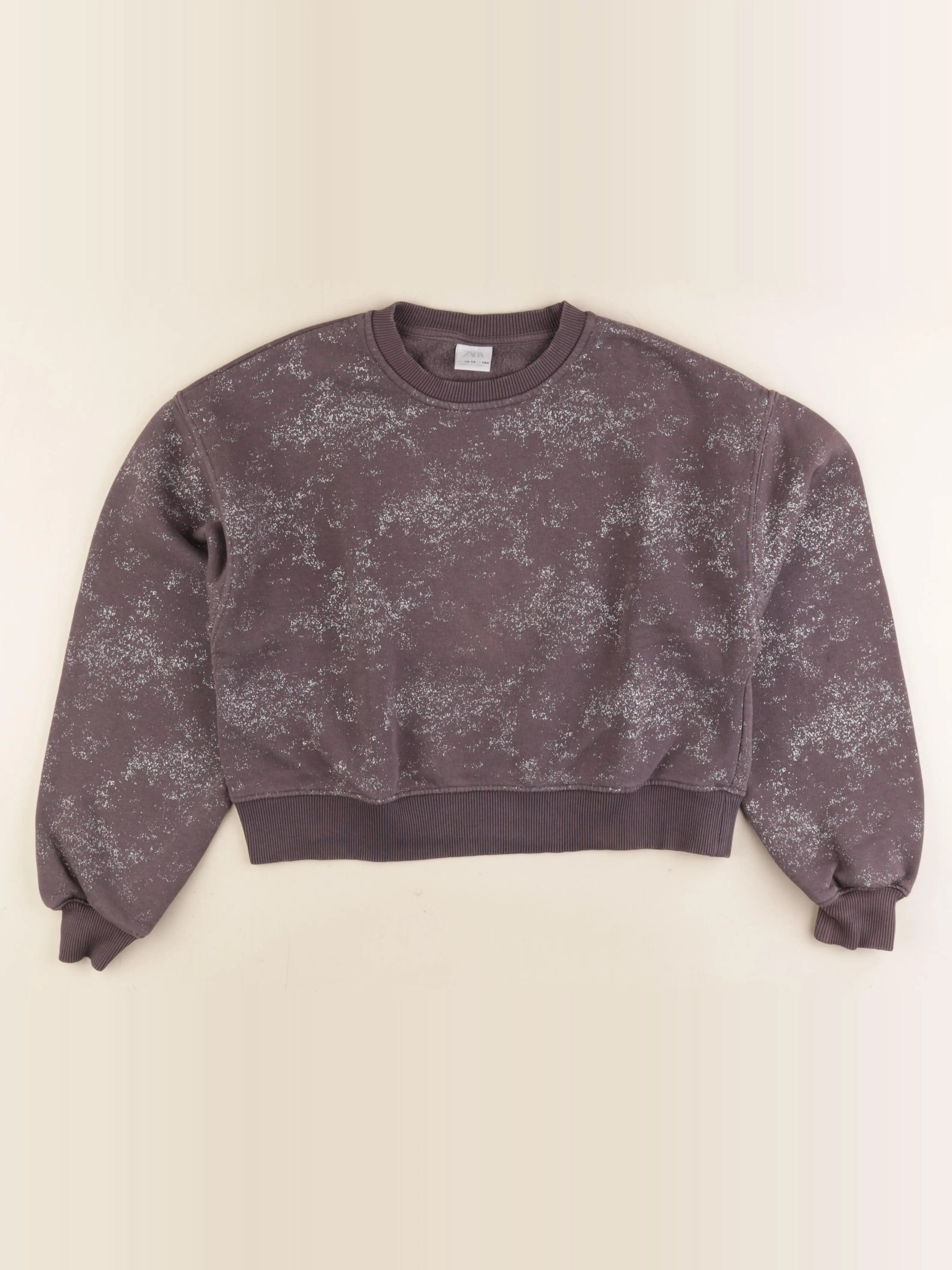 Zara - sweat gris - 13/14 ans