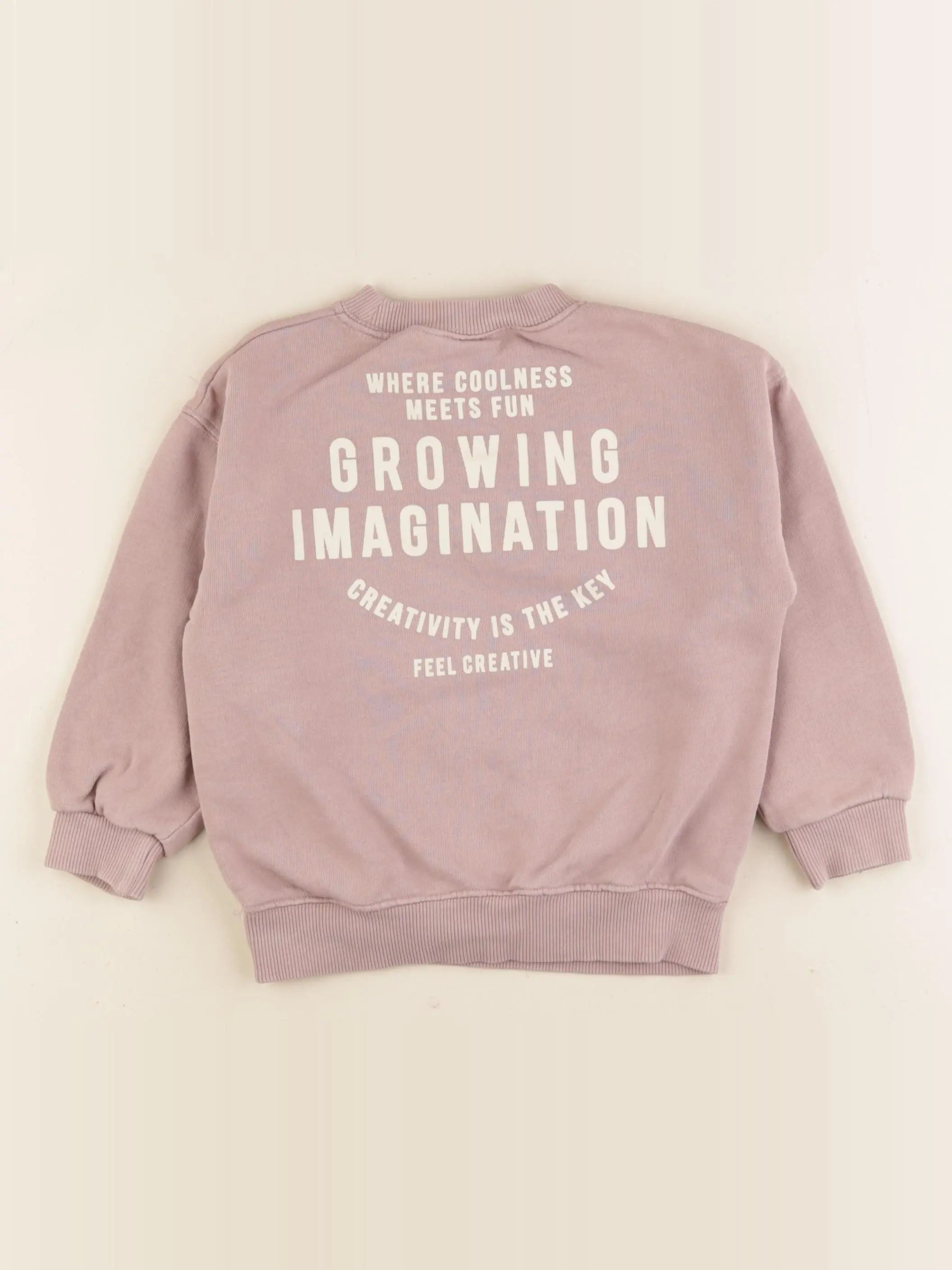 Zara - sweat rose - 18/24 mois
