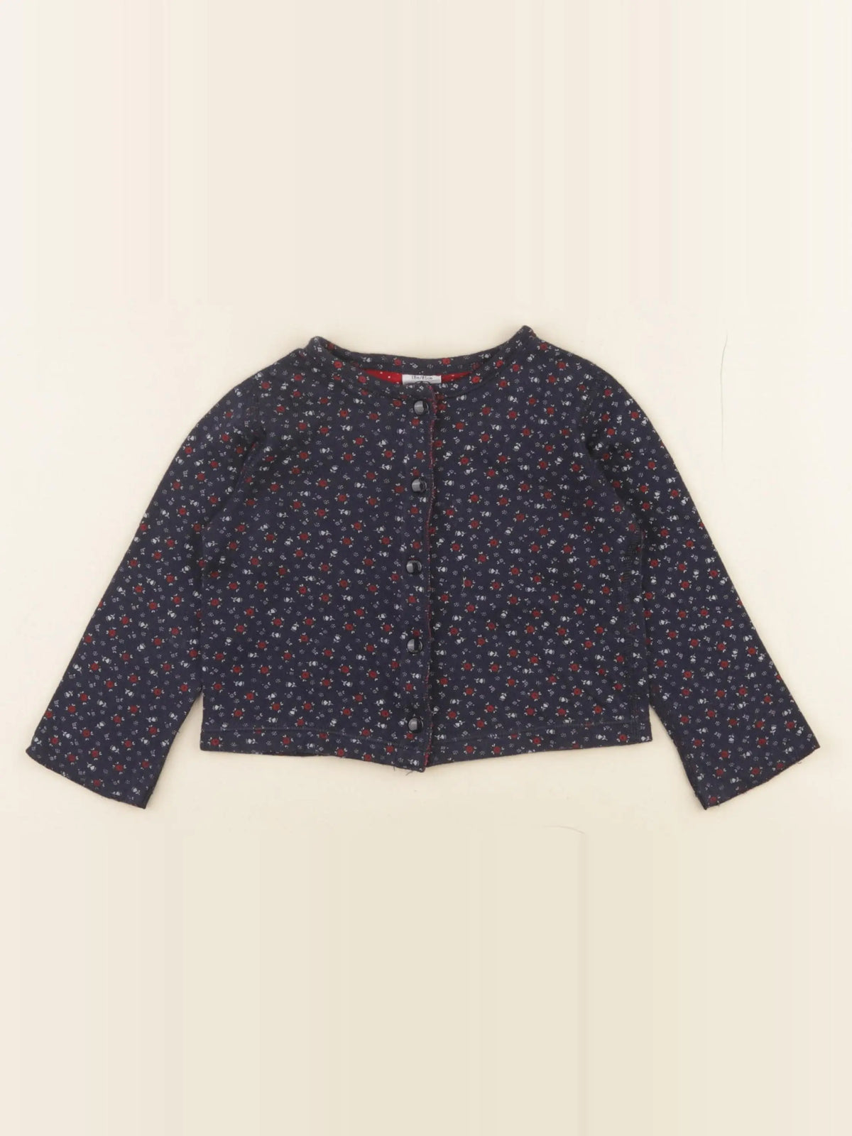 Petit Bateau - tee-shirt bleu - 18 mois