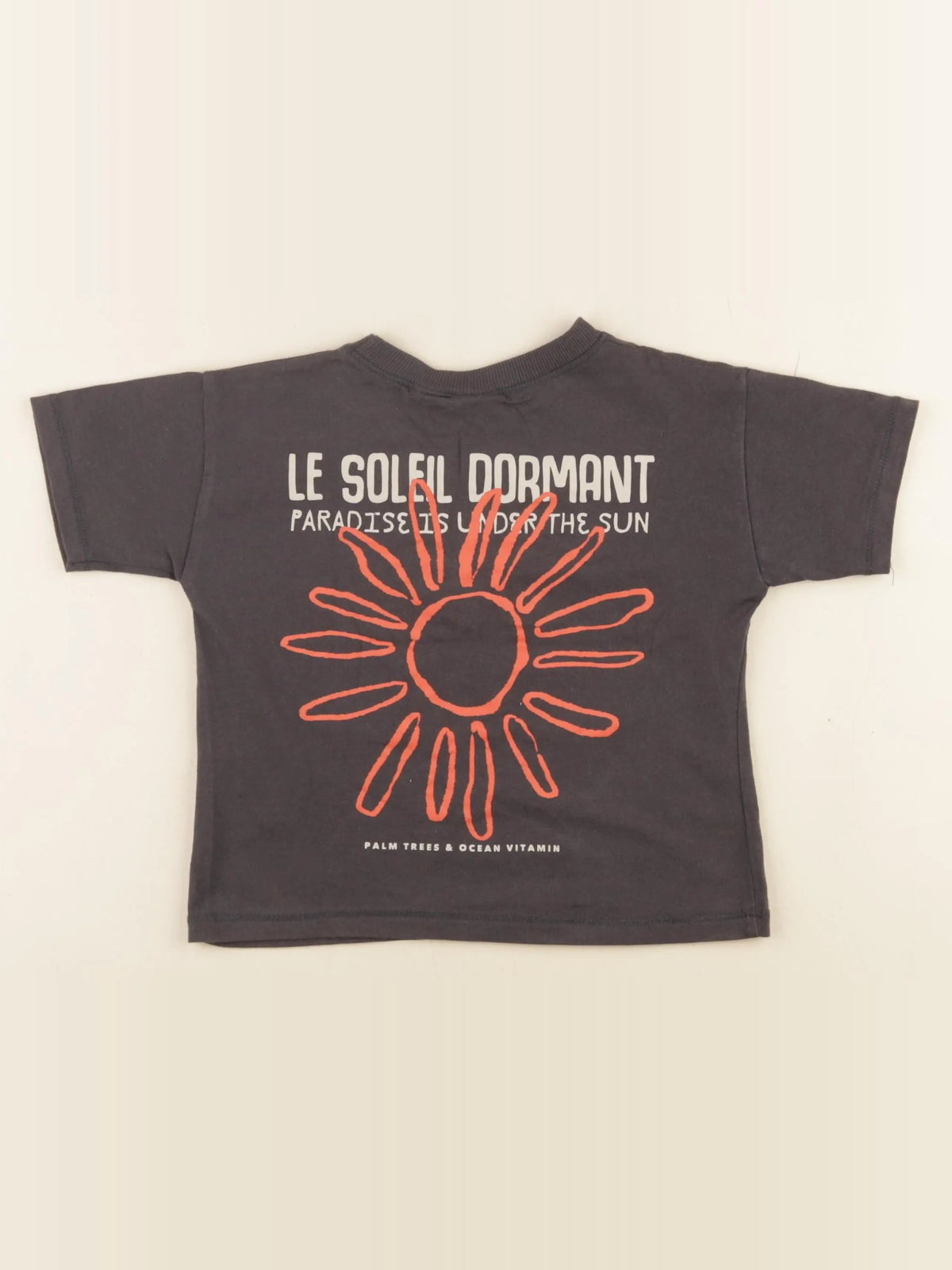 Zara - tee-shirt imprimé au dos gris - 2 ans