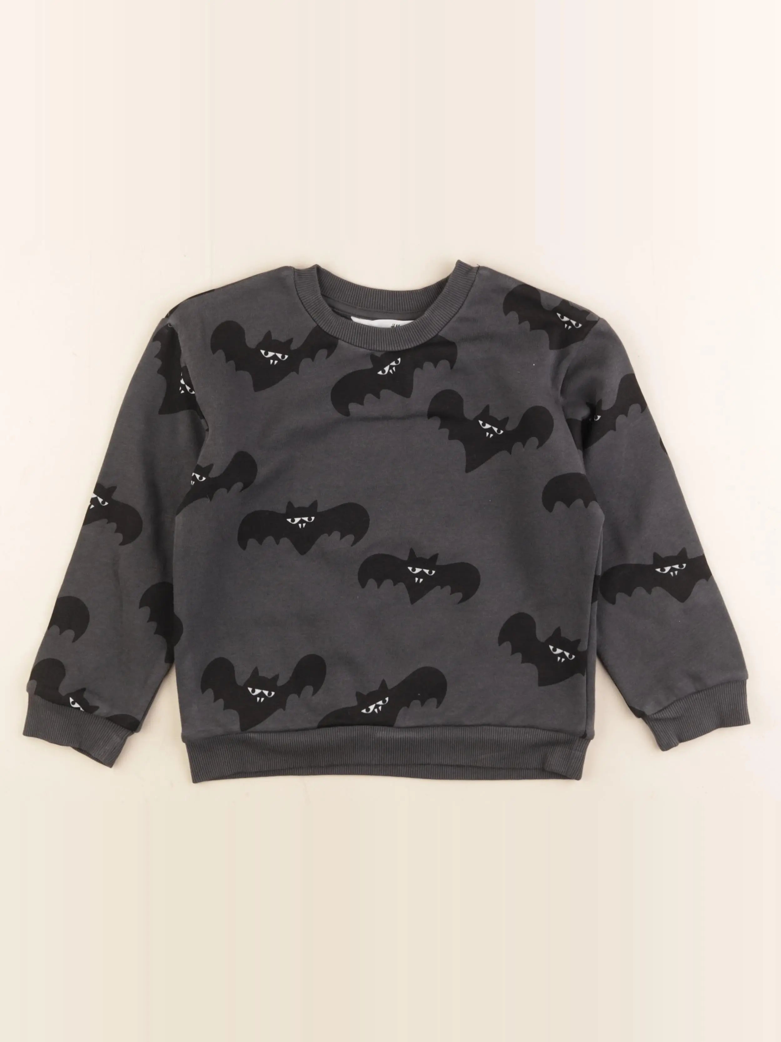 H&M - sweat gris - 4/6 ans