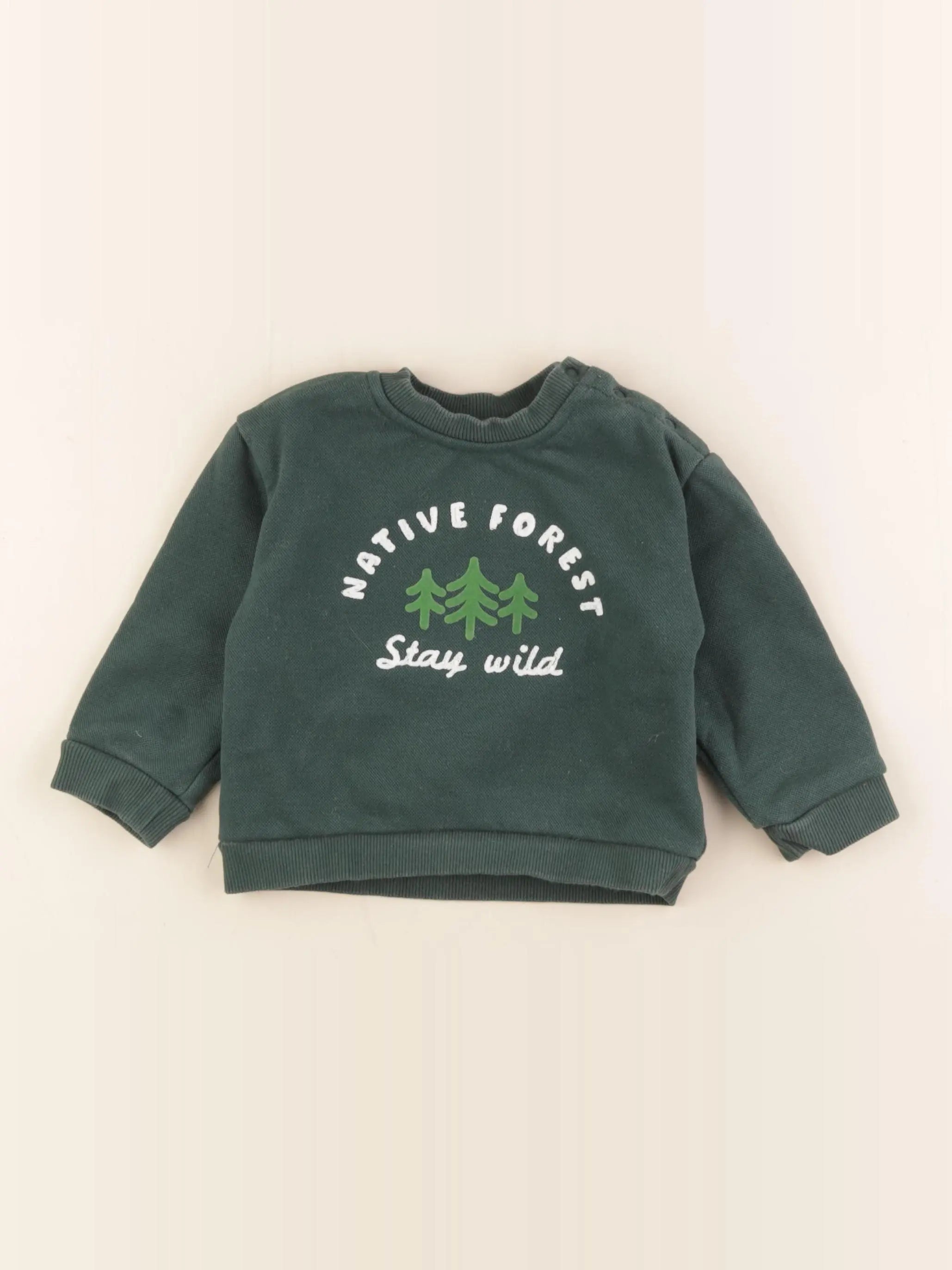 Boutchou - sweat vert - 18 mois