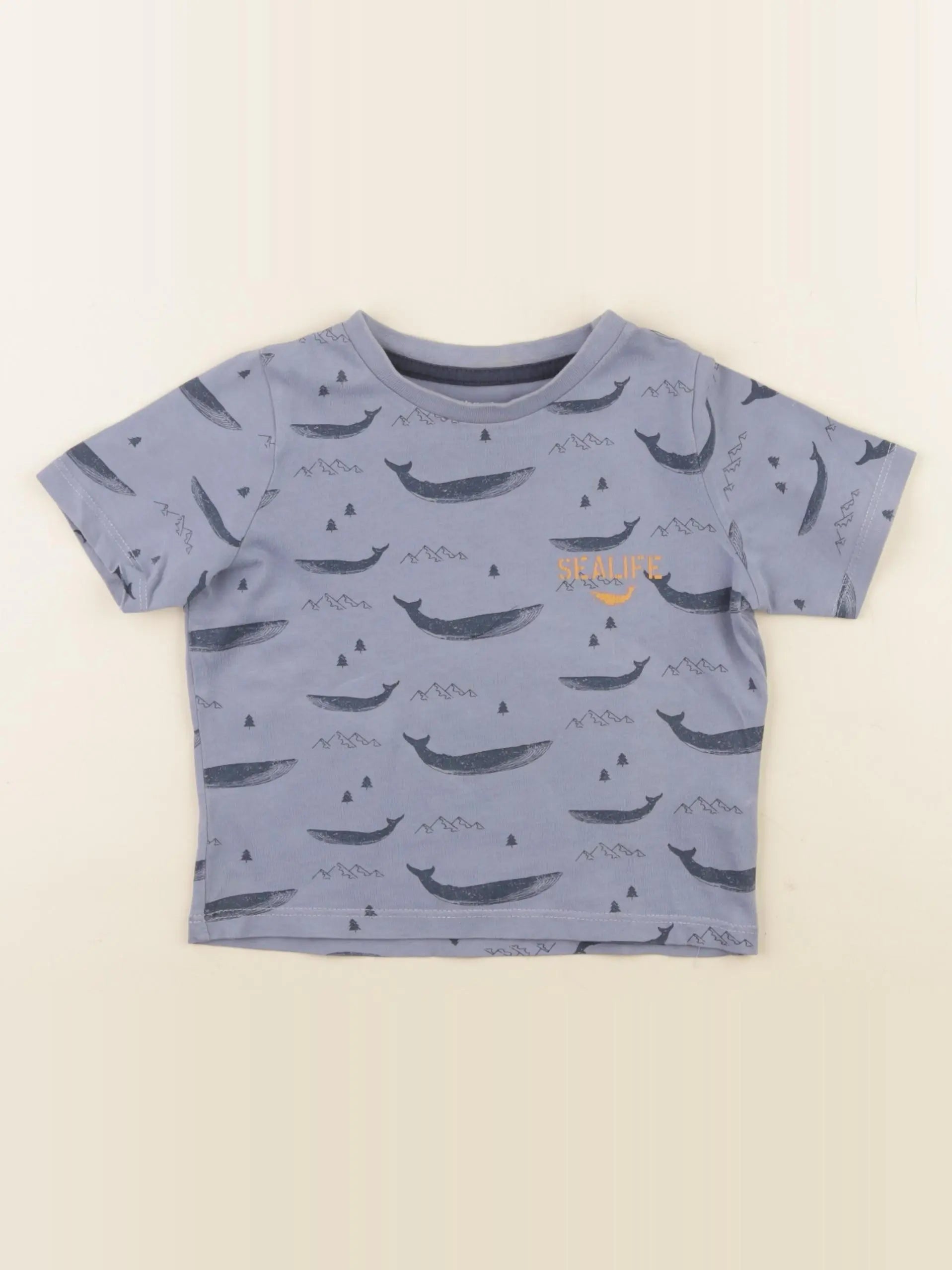 Vertbaudet - tee-shirt bleu - 2 ans