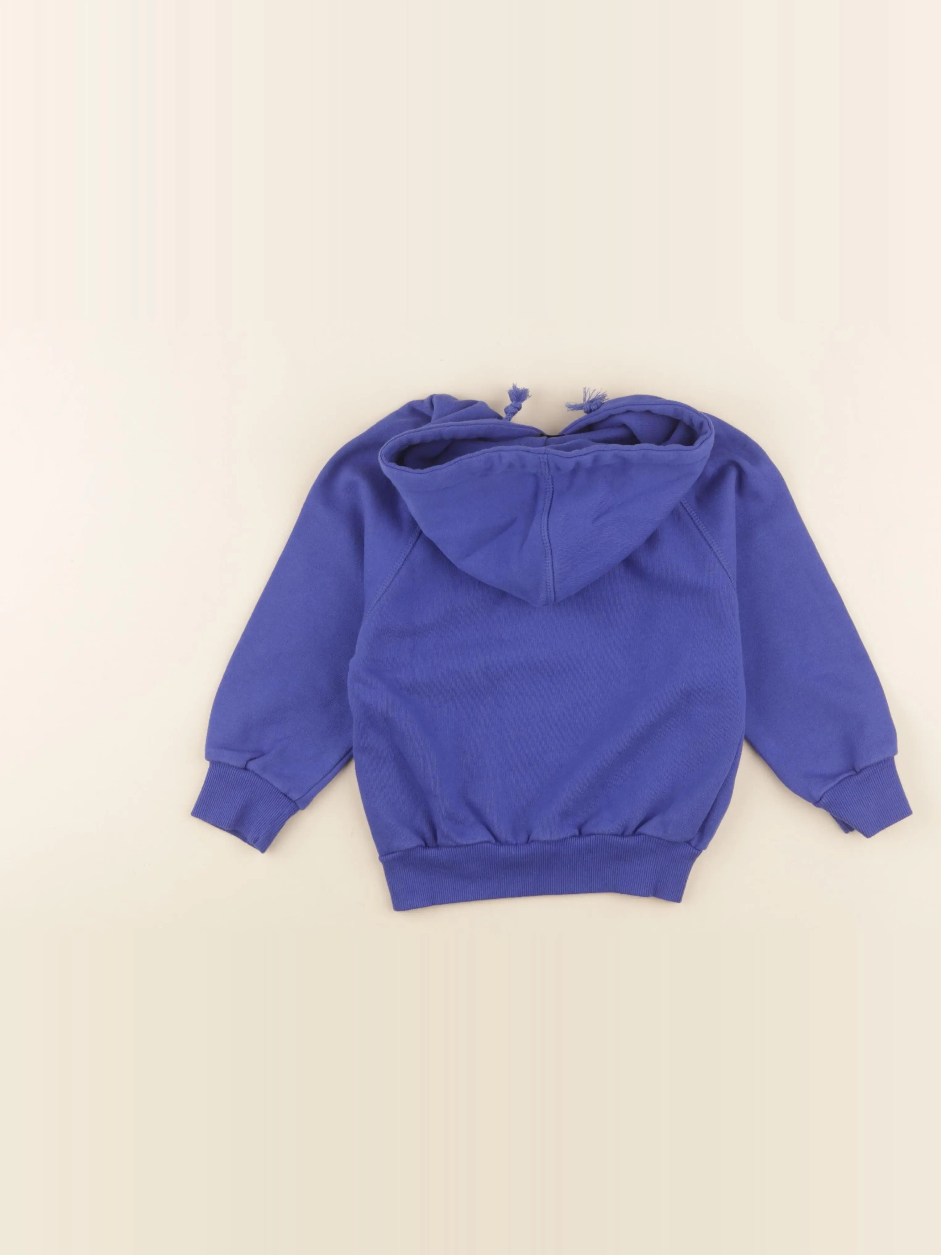 Sweat à capuche bleu