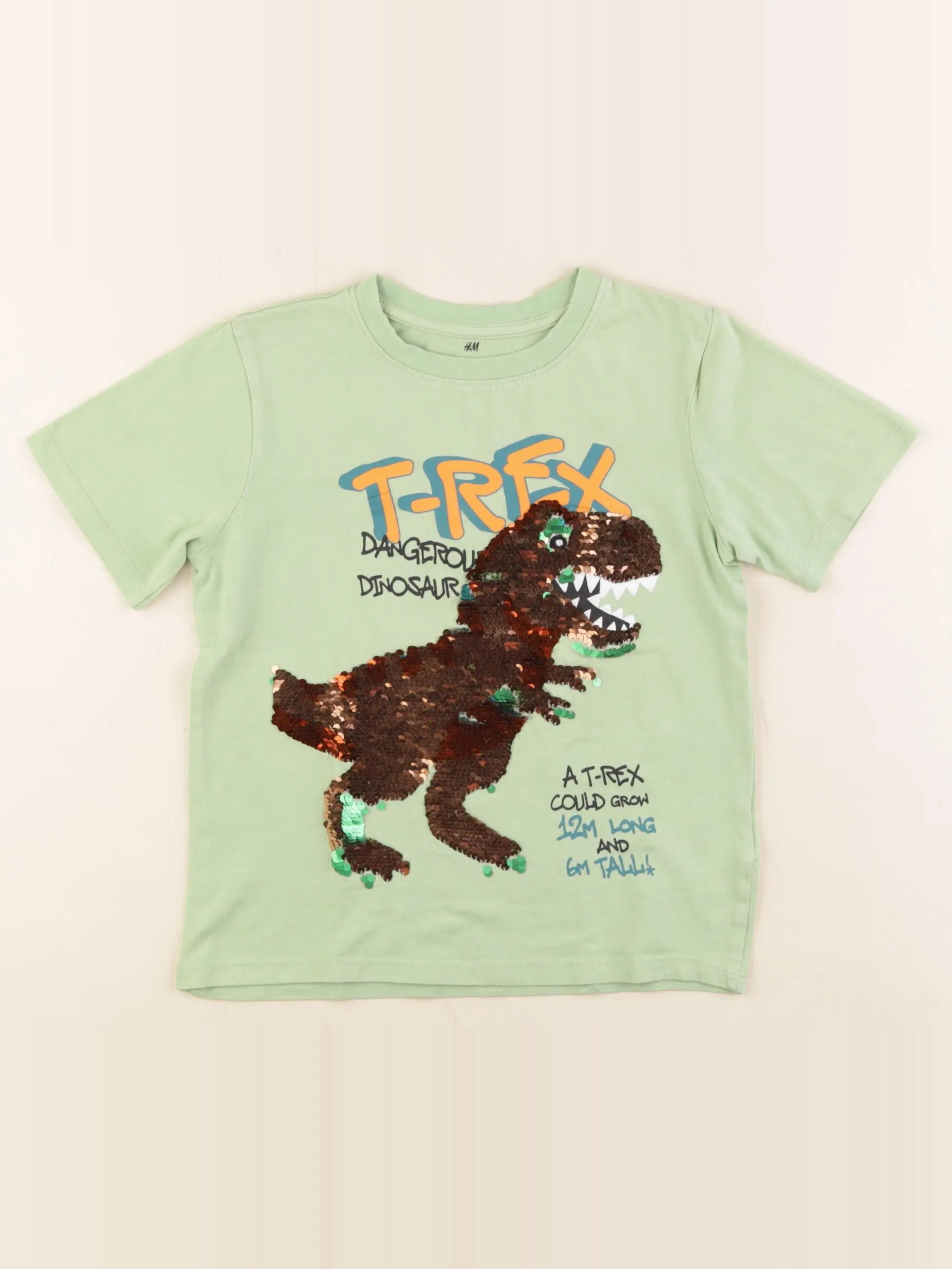 H&M - tee-shirt vert - 4/6 ans