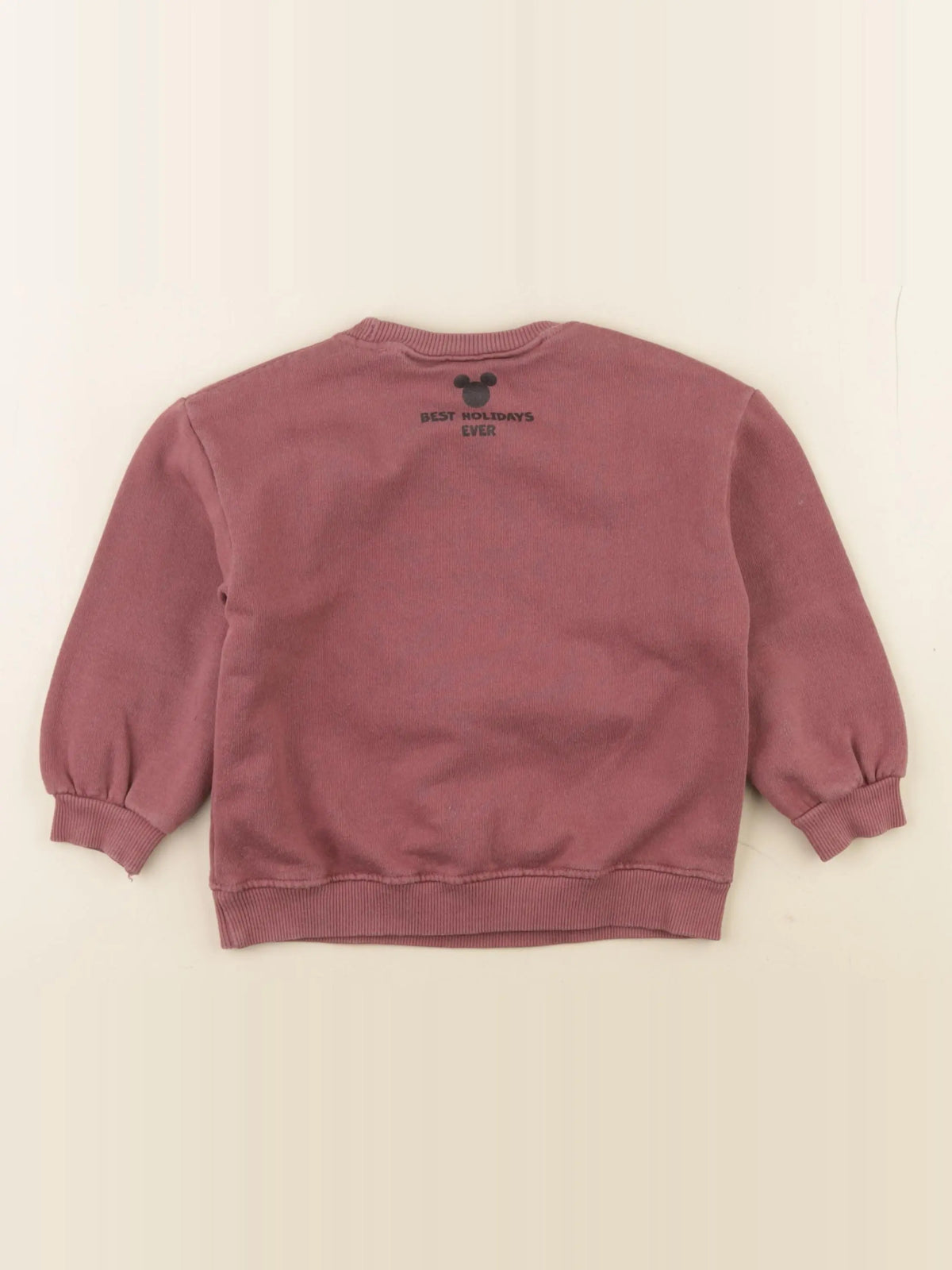 Zara - sweat imprimé au dos violet - 2/3 ans