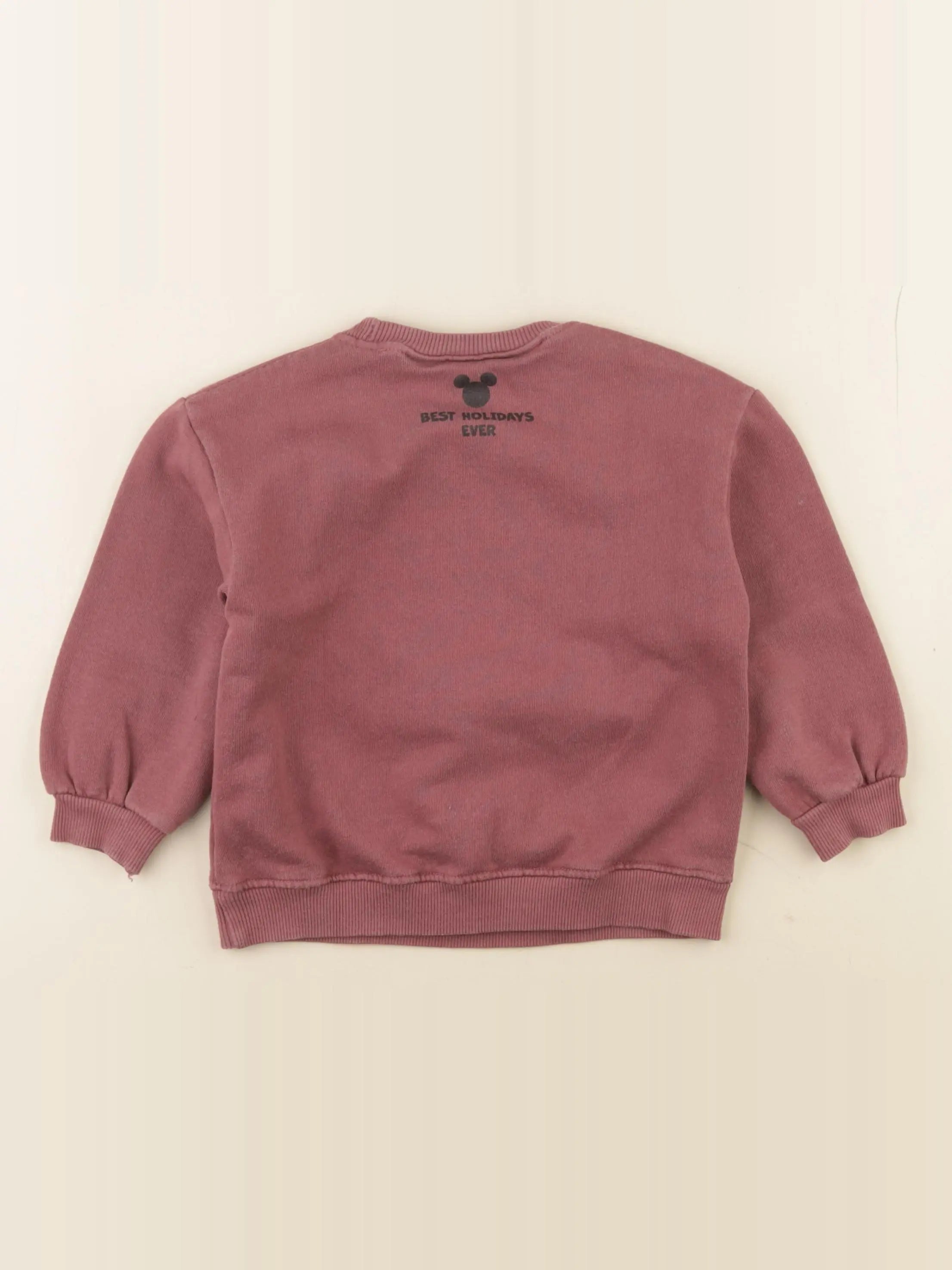 Zara - sweat imprimé au dos violet - 2/3 ans