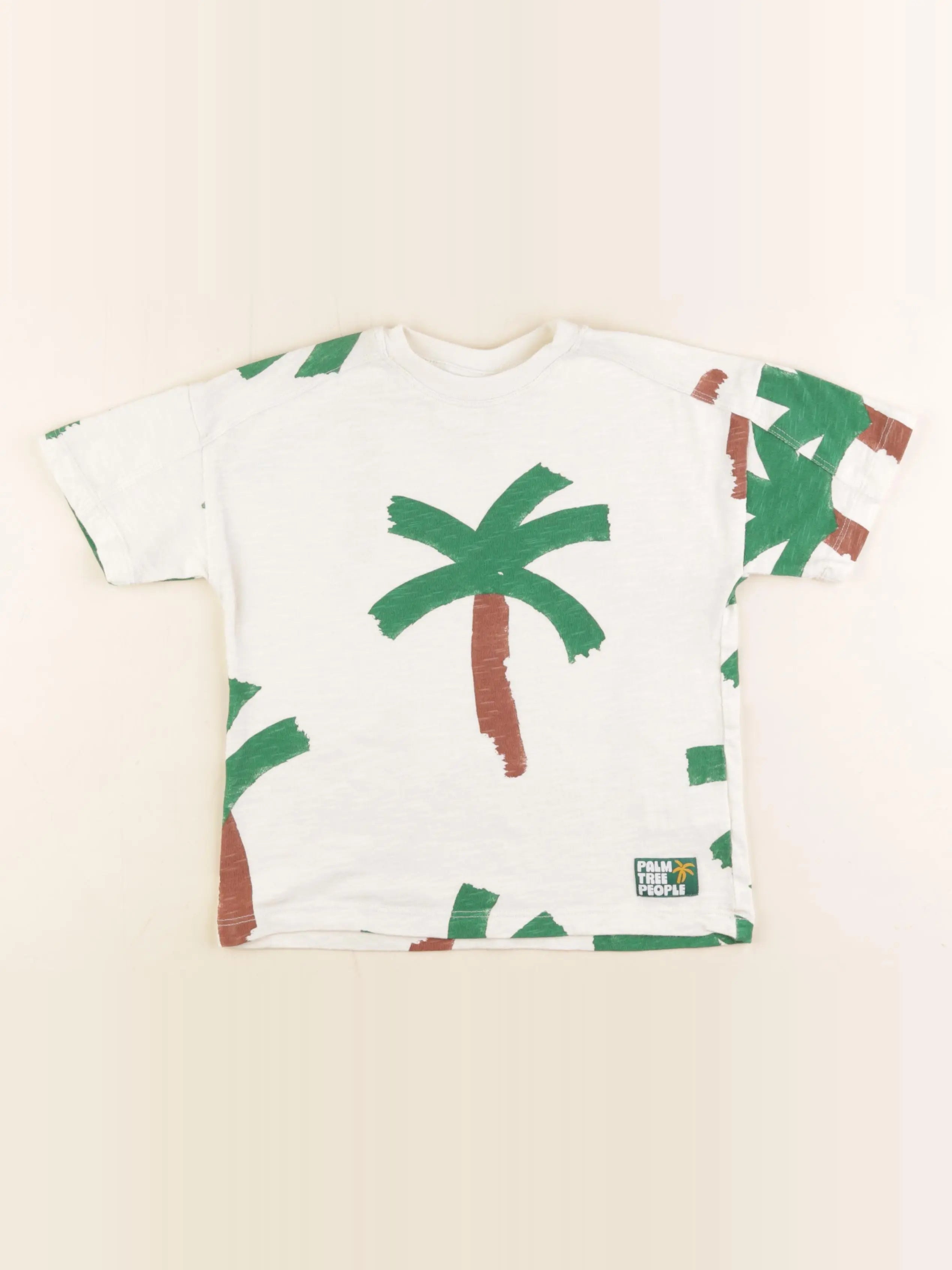 Zara - tee-shirt beige - 5 ans