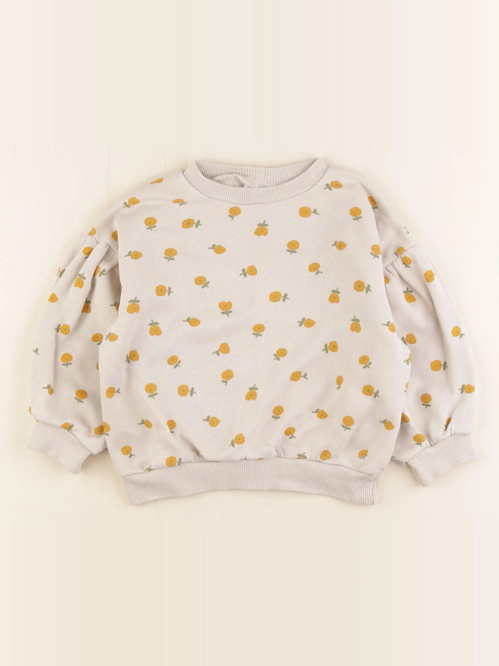 Zara - sweat beige - 12/18 mois