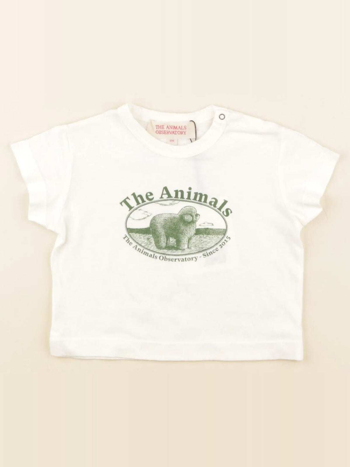 Tee-shirt blanc