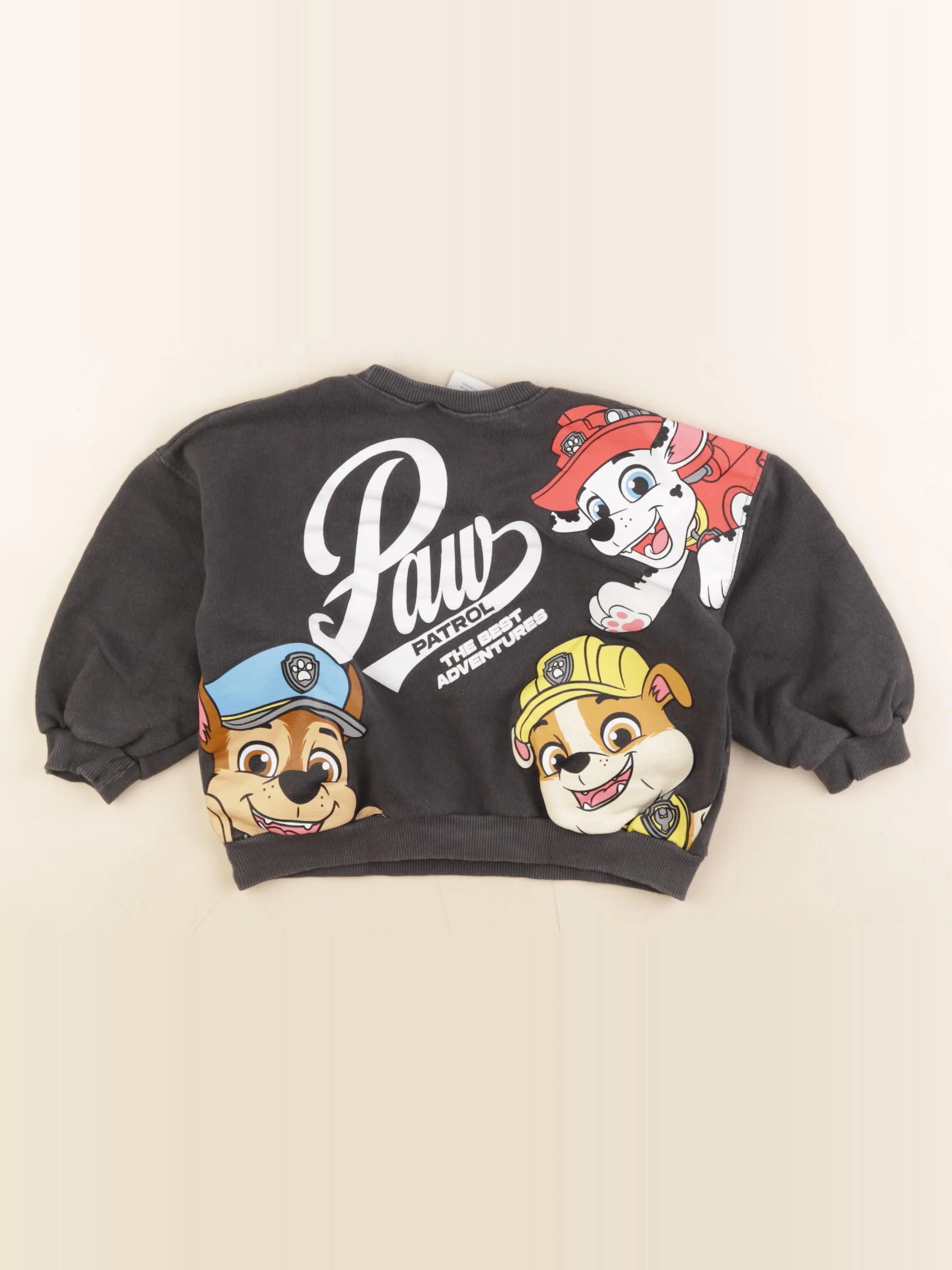 Zara - sweat imprimé au dos gris - 4 ans