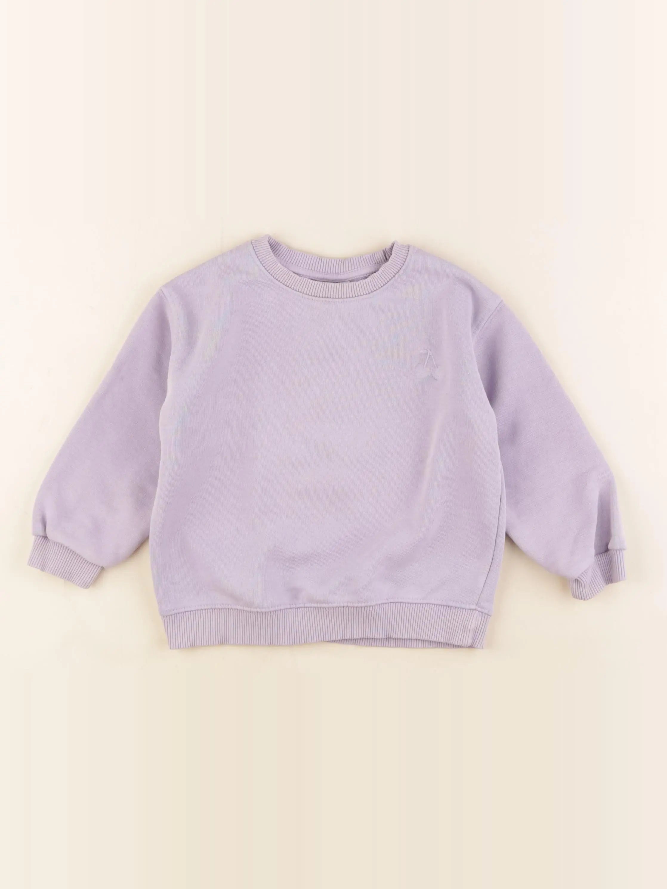 Zara - sweat violet - 18/24 mois