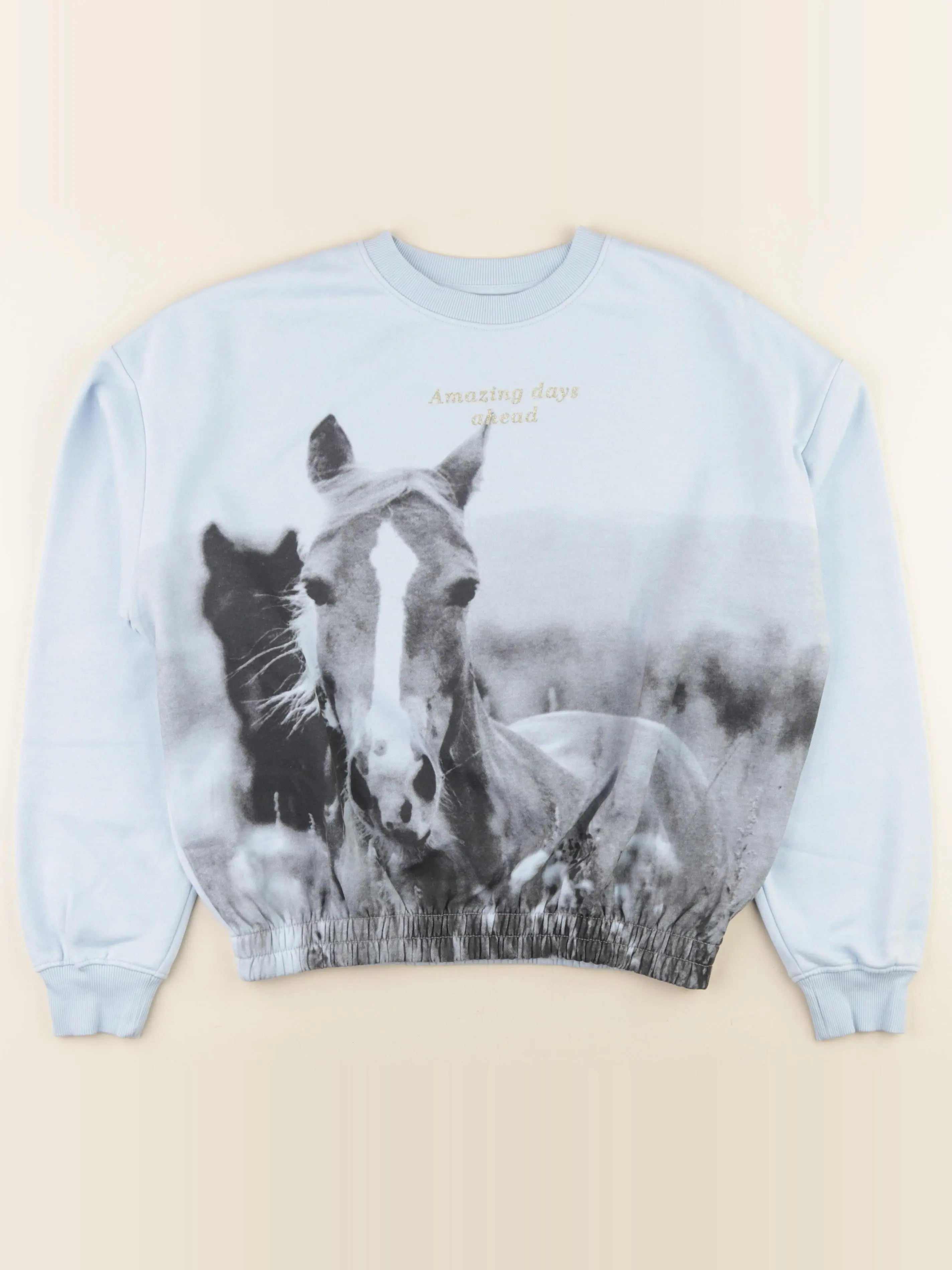 H&M - sweat bleu - 12/14 ans