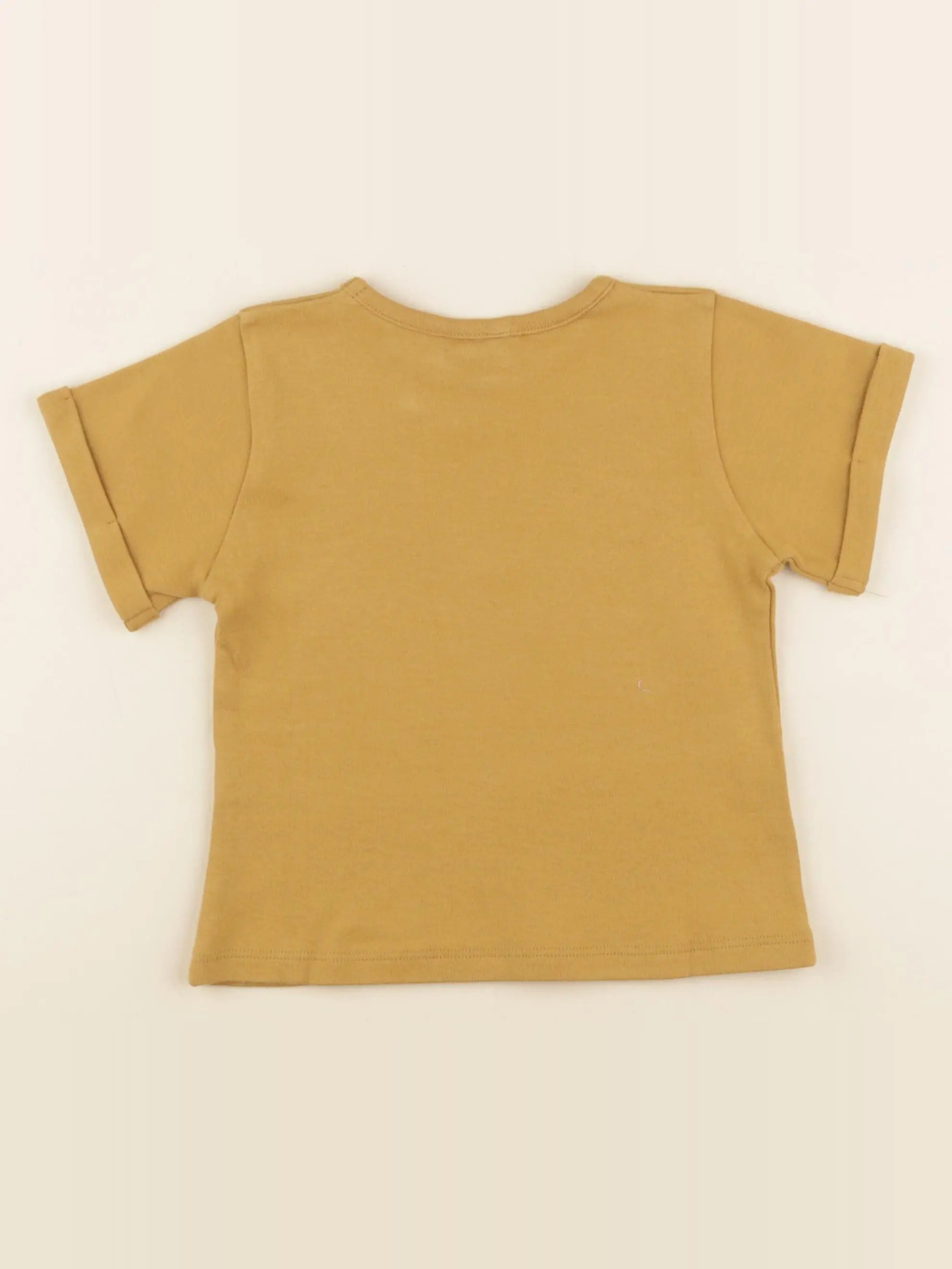 Tee-shirt PAUL marron