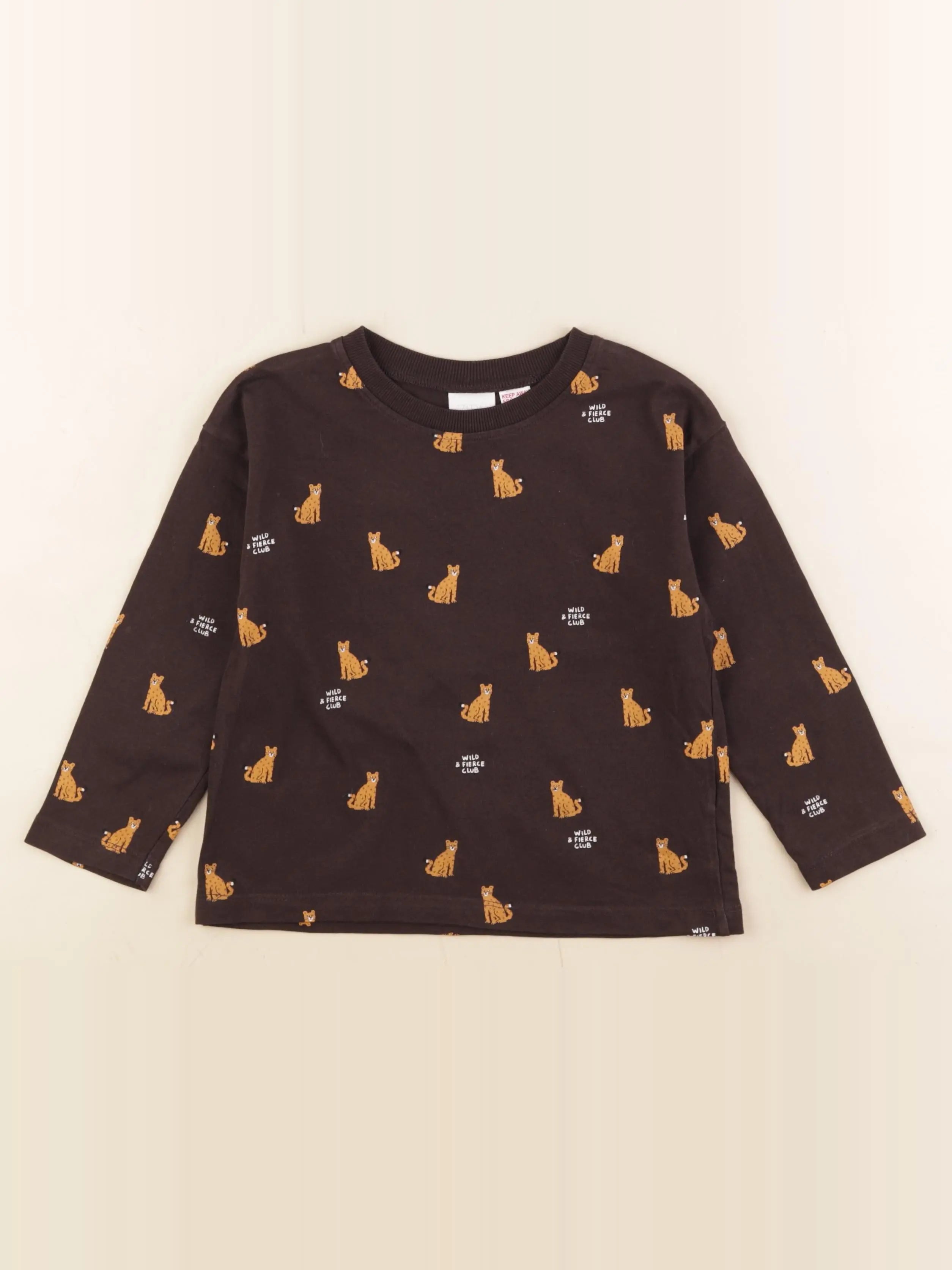Zara - tee-shirt marron - 4 ans
