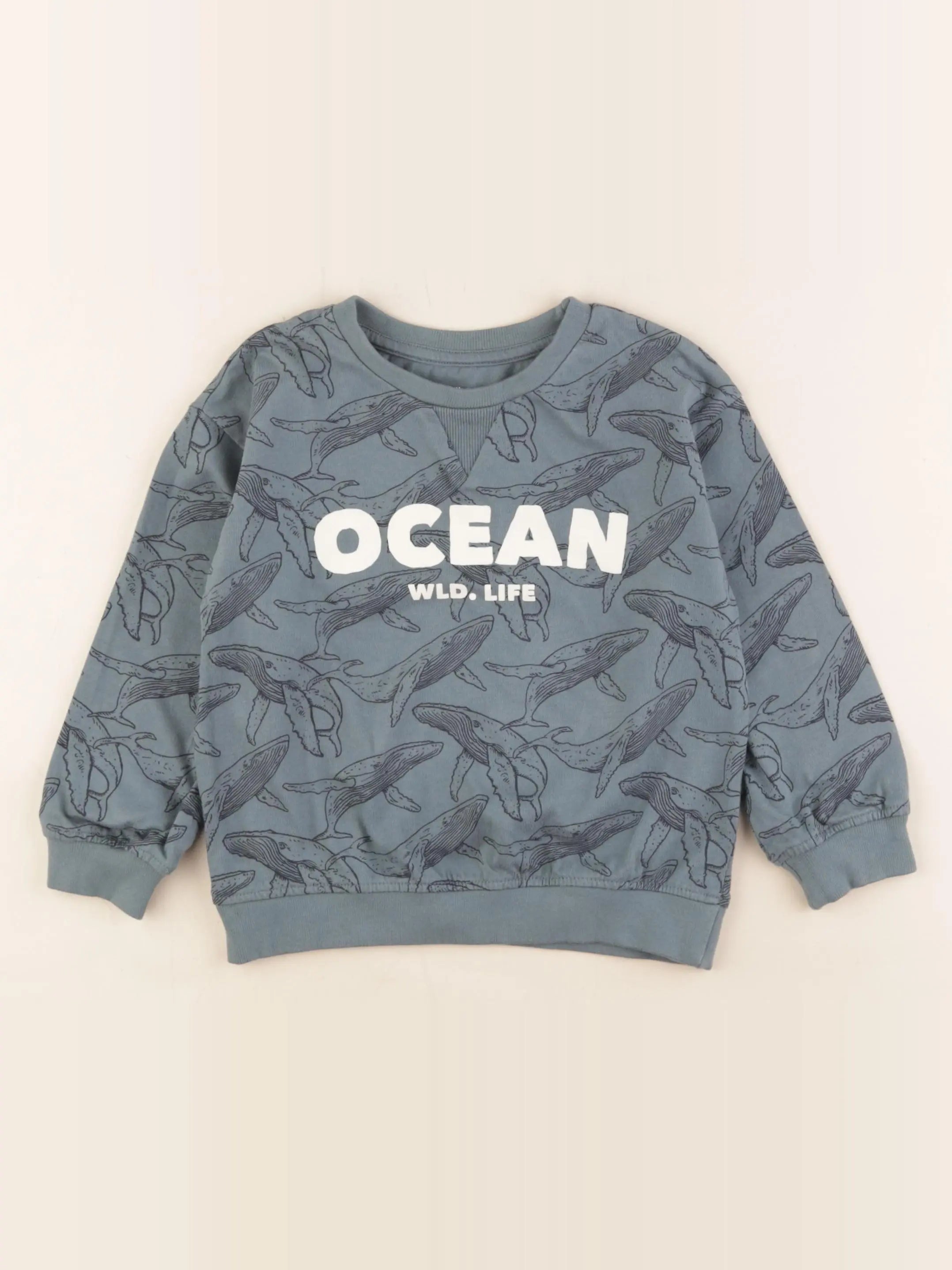 Vertbaudet - sweat vert - 5 ans