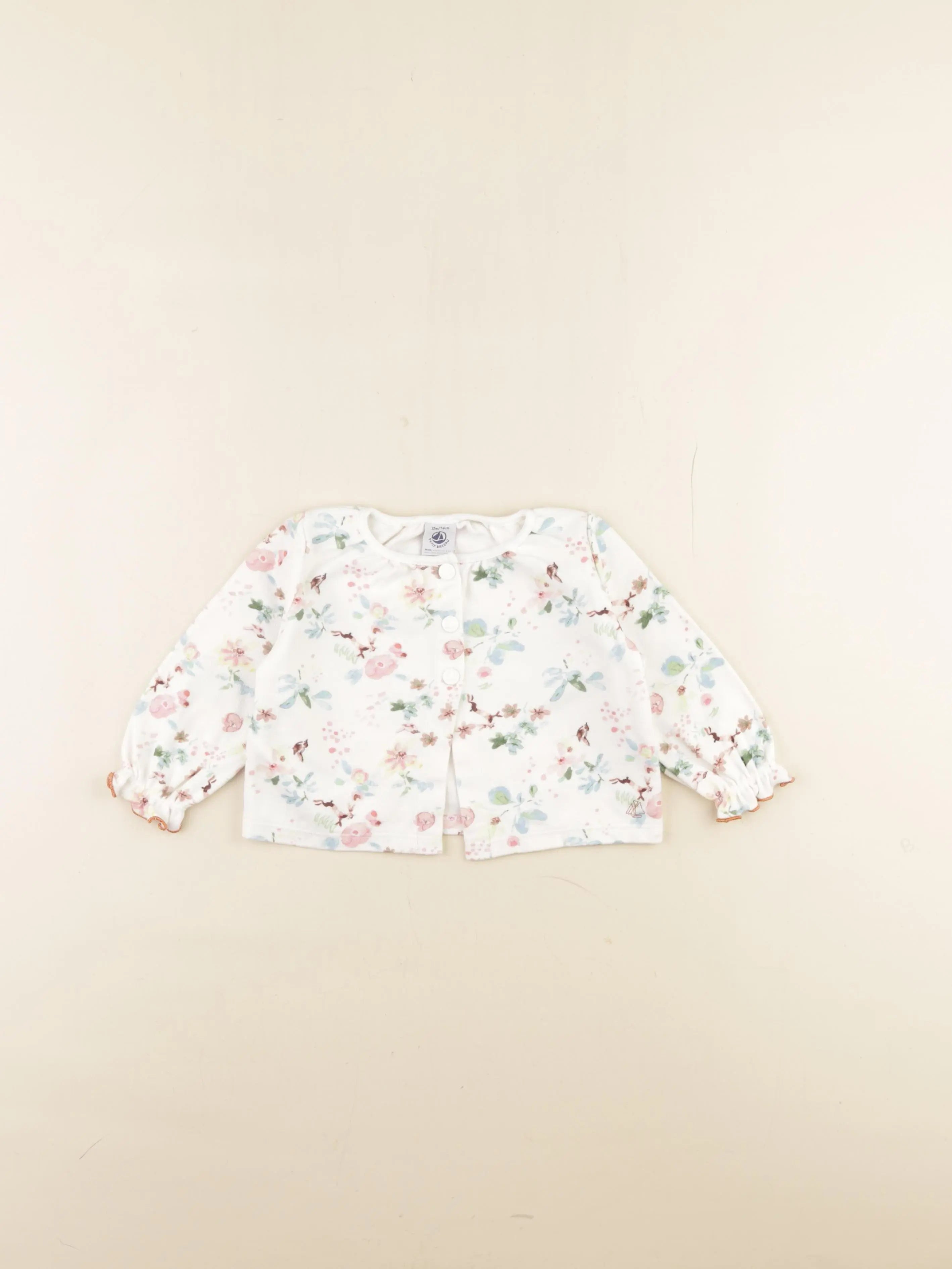 Petit Bateau - sweat multicolore - 12 mois