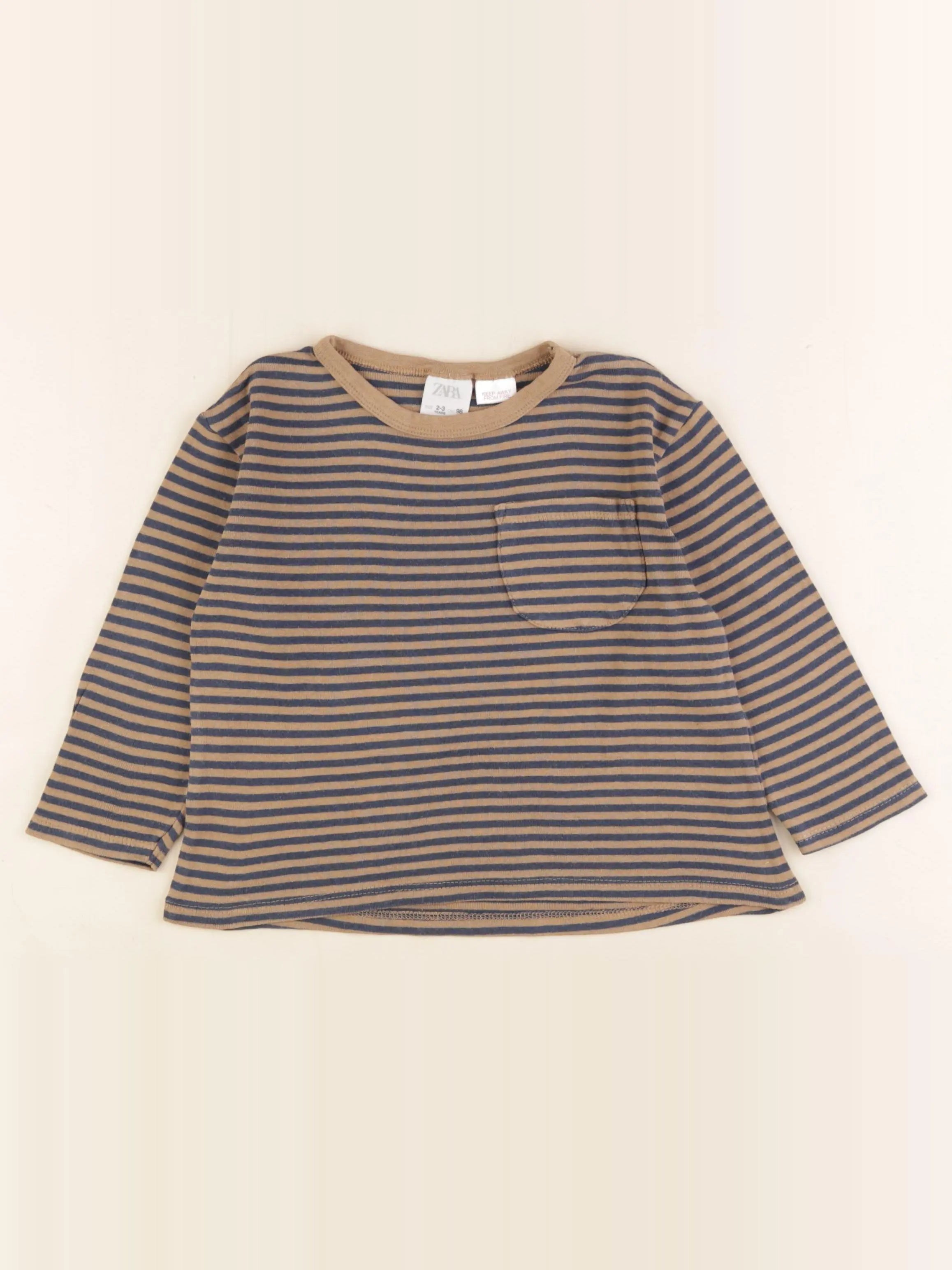 Zara - tee-shirt bleu, marron - 2/3 ans