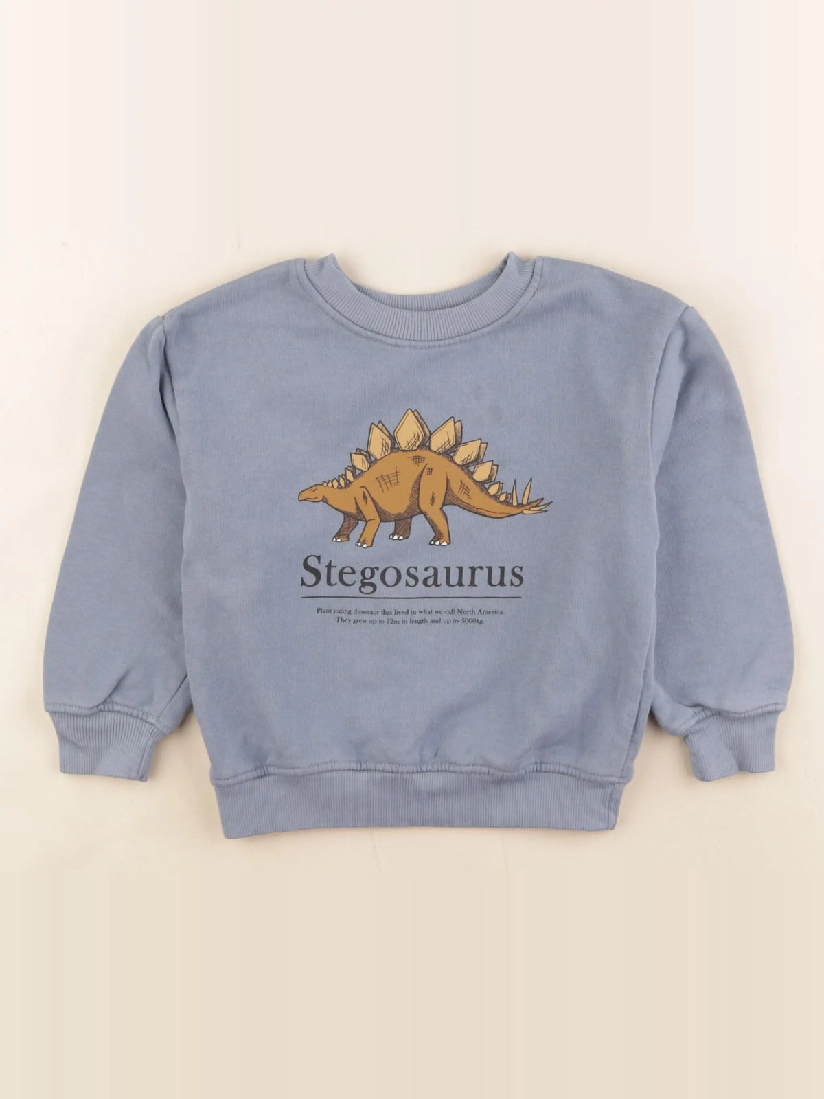 H&M - sweat bleu - 3/4 ans