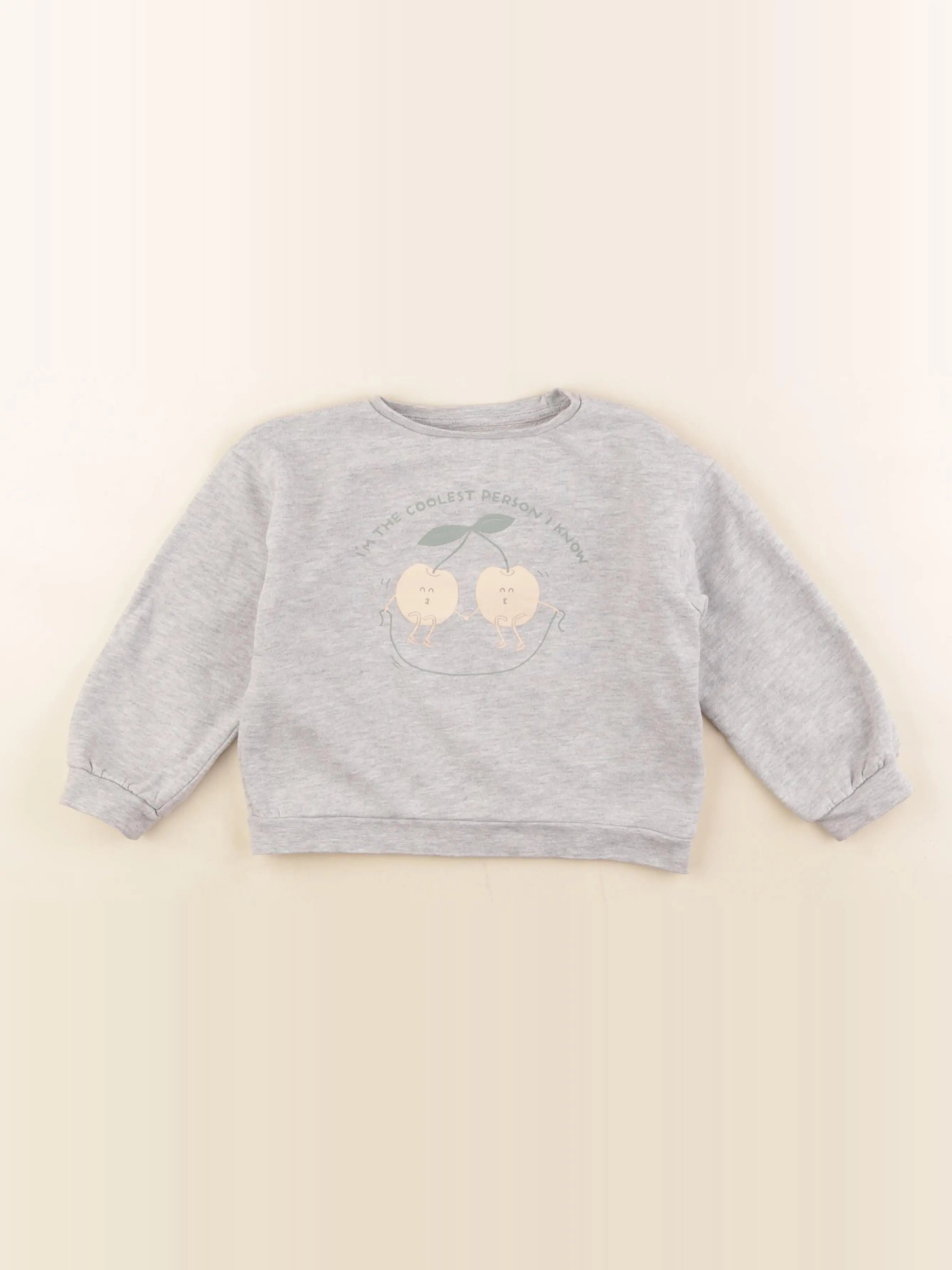 Vertbaudet - sweat gris - 5 ans