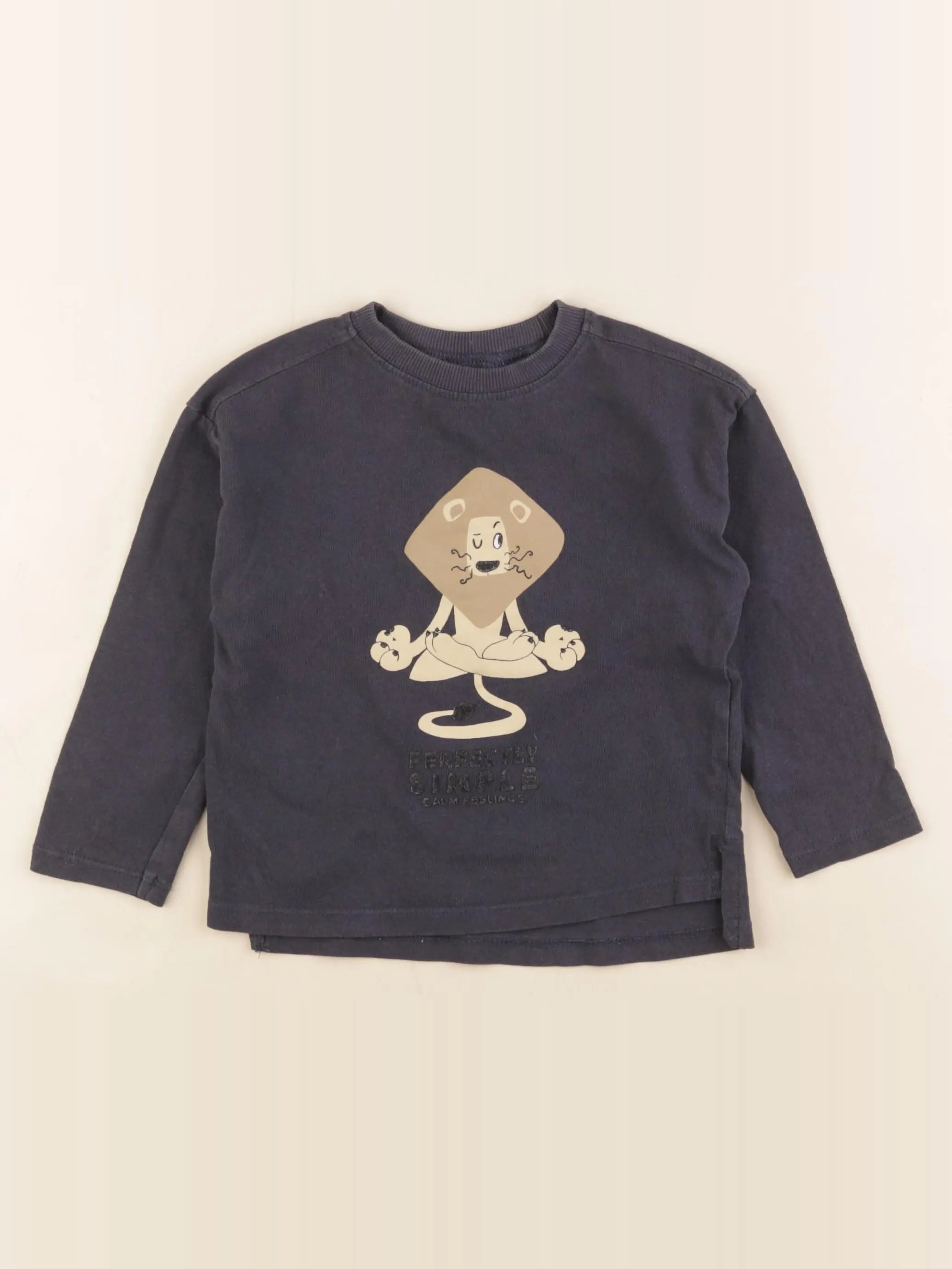 Zara - tee-shirt bleu - 18/24 mois