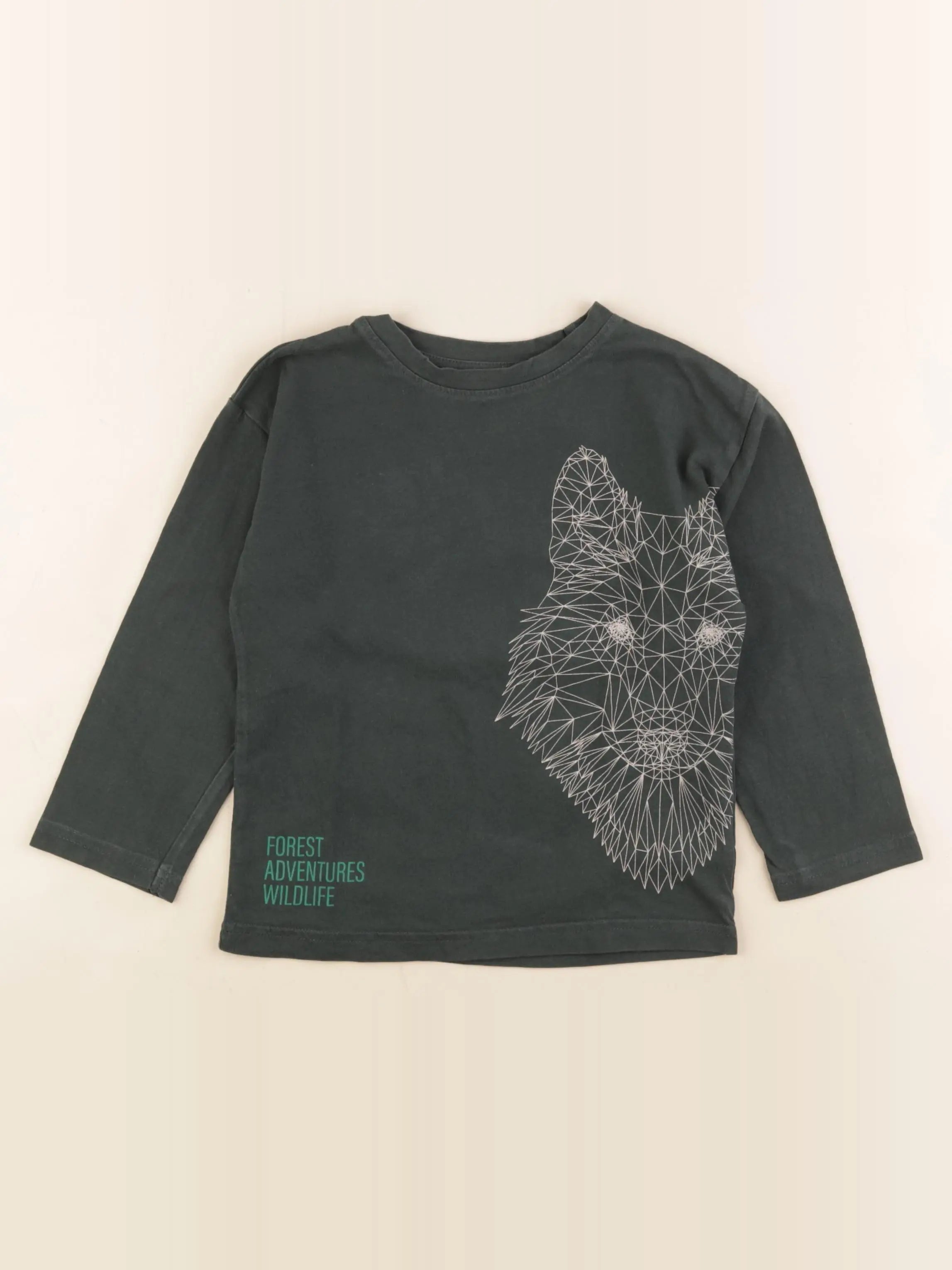 Vertbaudet - tee-shirt vert - 5 ans