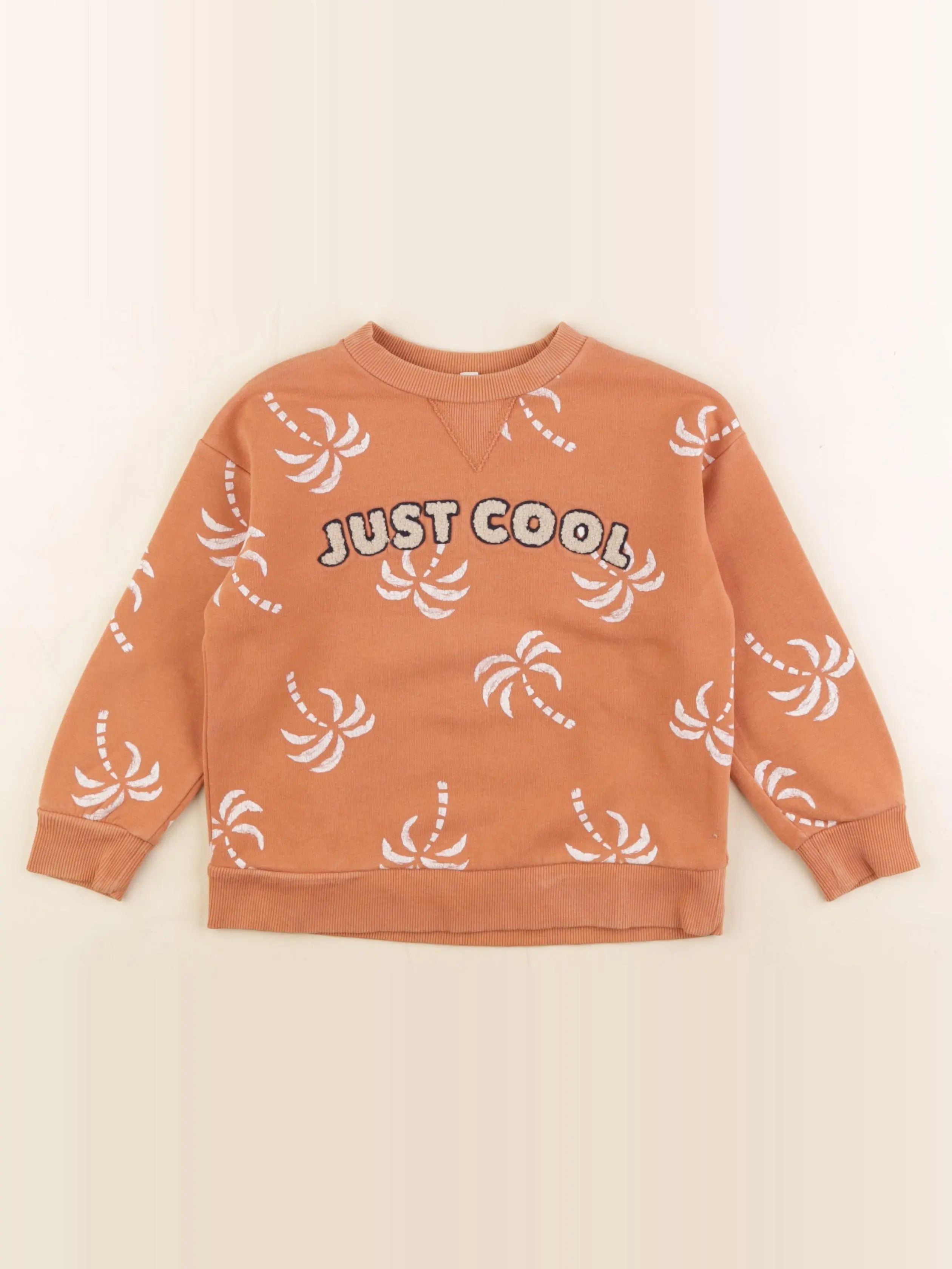 Vertbaudet - sweat marron - 5 ans