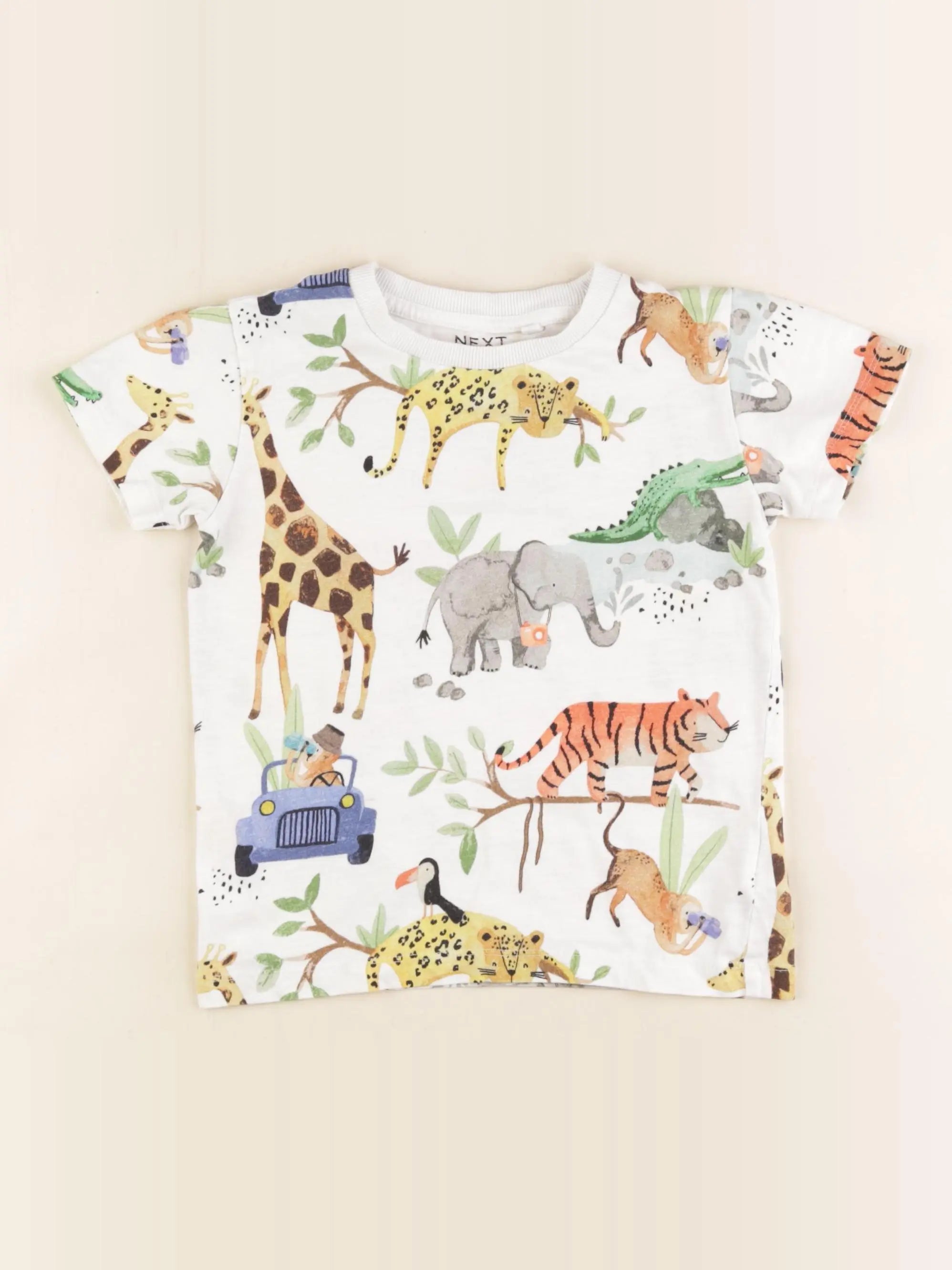Next - tee-shirt multicolore - 3/4 ans