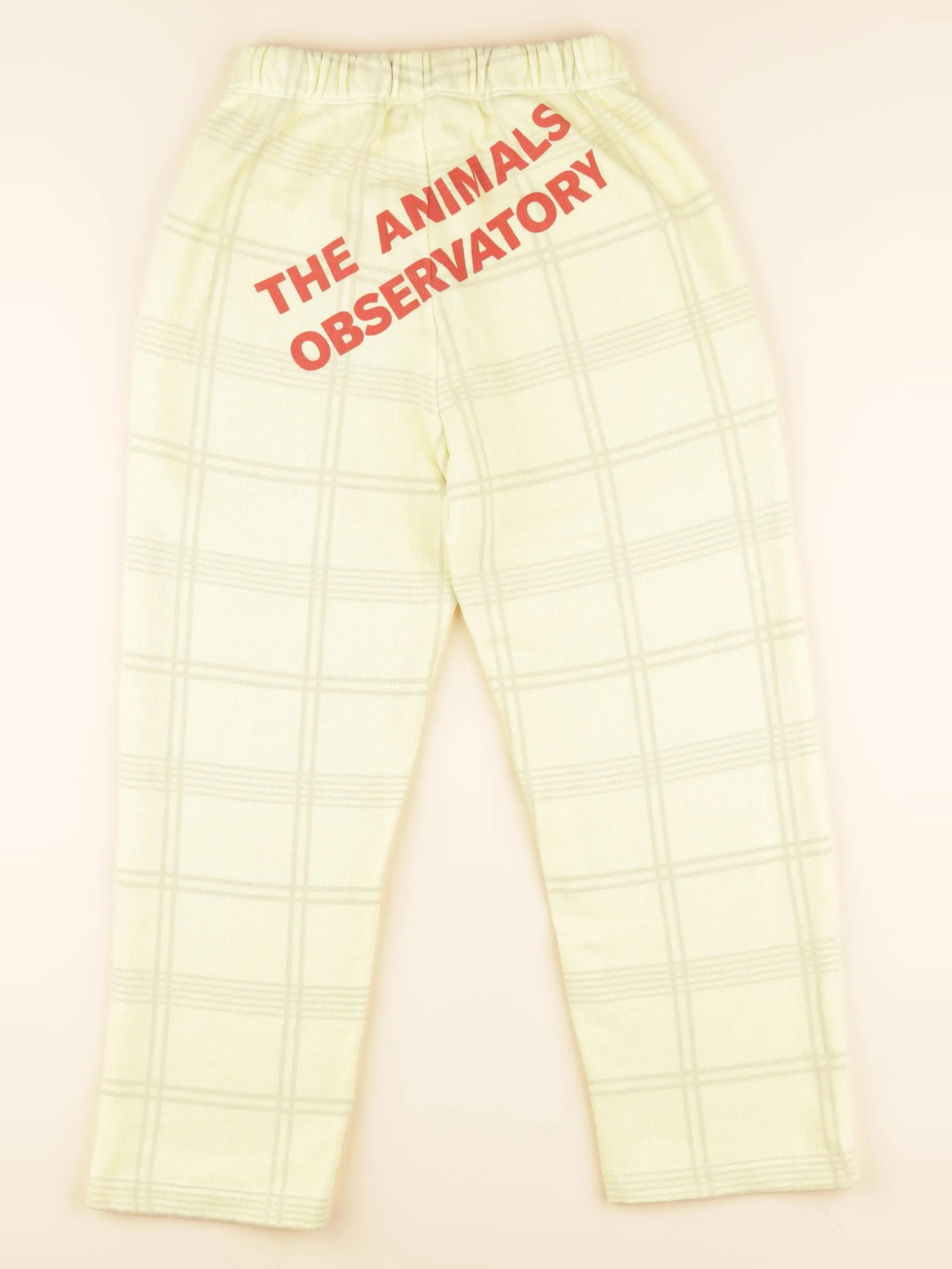 The animals observatory - jogging imprimé au dos jaune - 8 ans