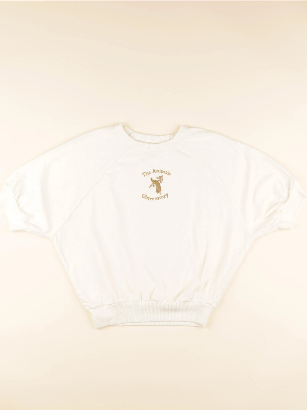The animals observatory - sweat blanc - 8 ans