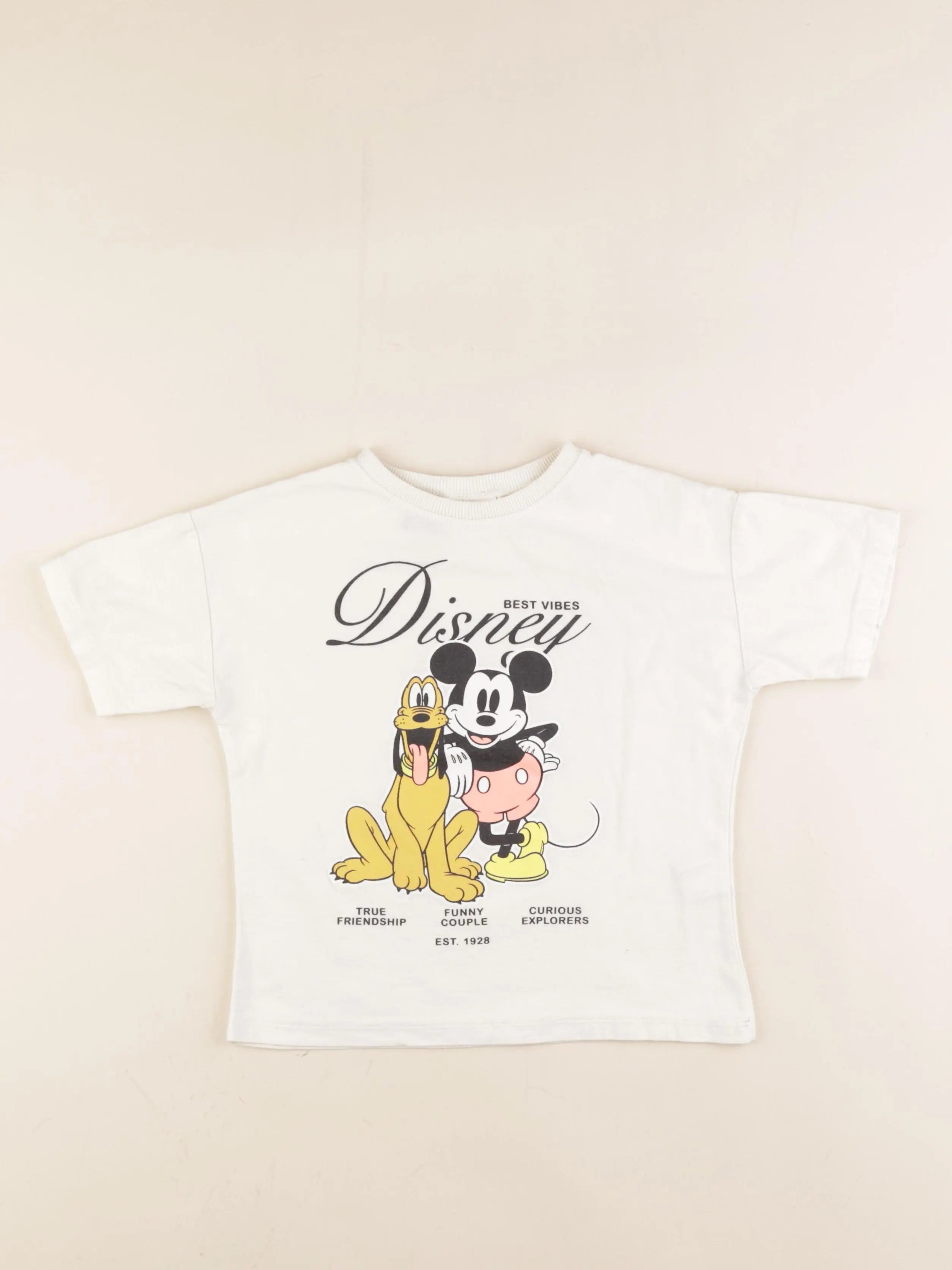 Zara - tee-shirt beige - 5 ans