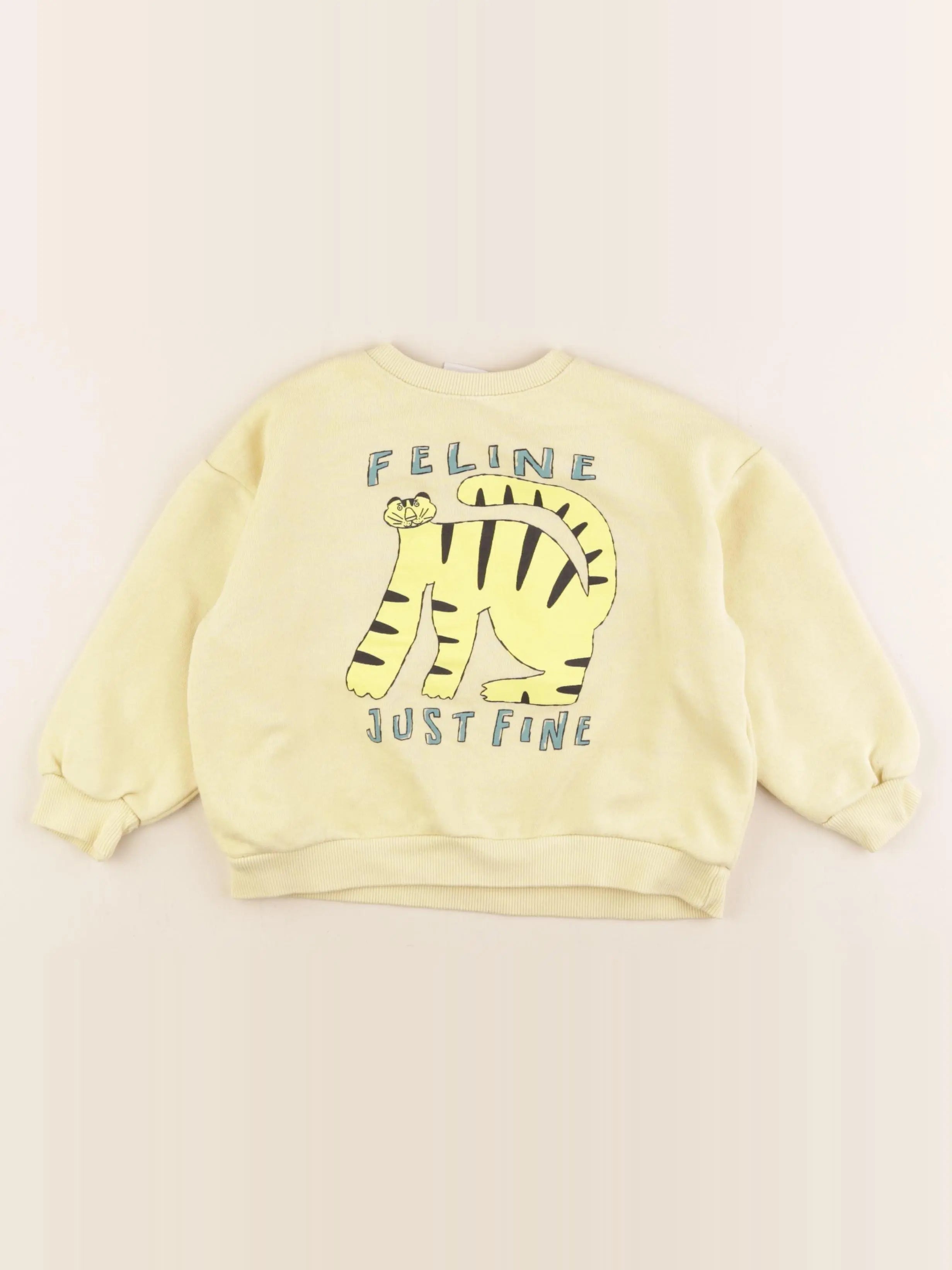 Zara - sweat jaune - 4 ans