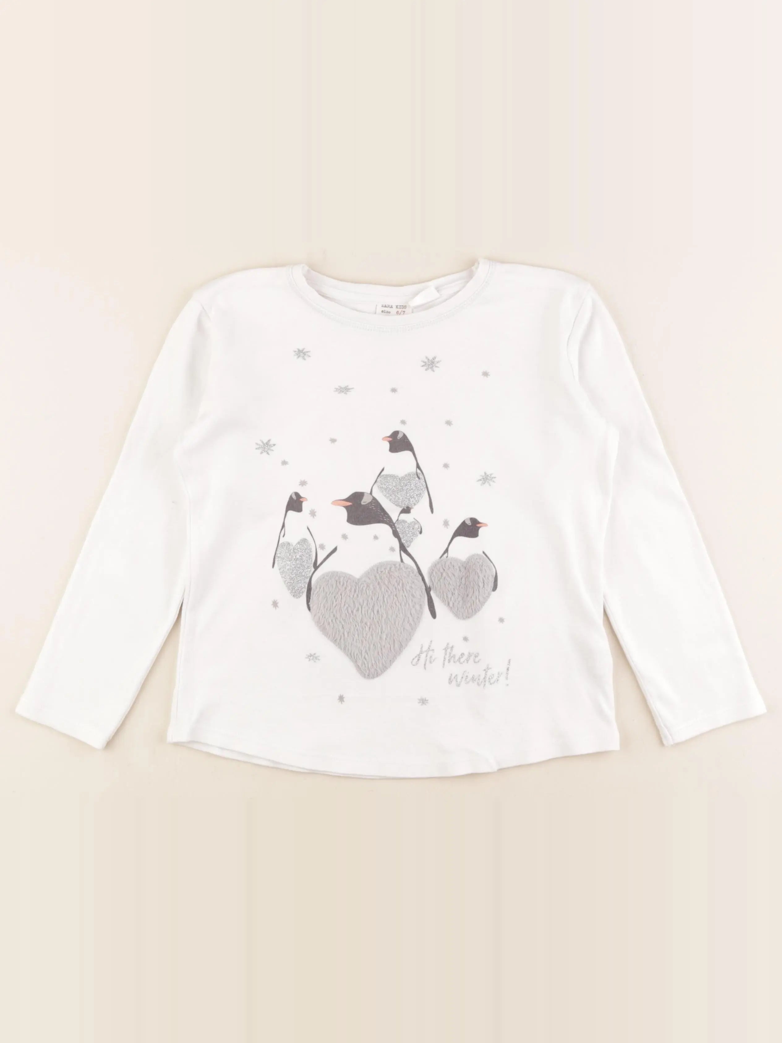 Zara - tee-shirt blanc, gris - 6/7 ans
