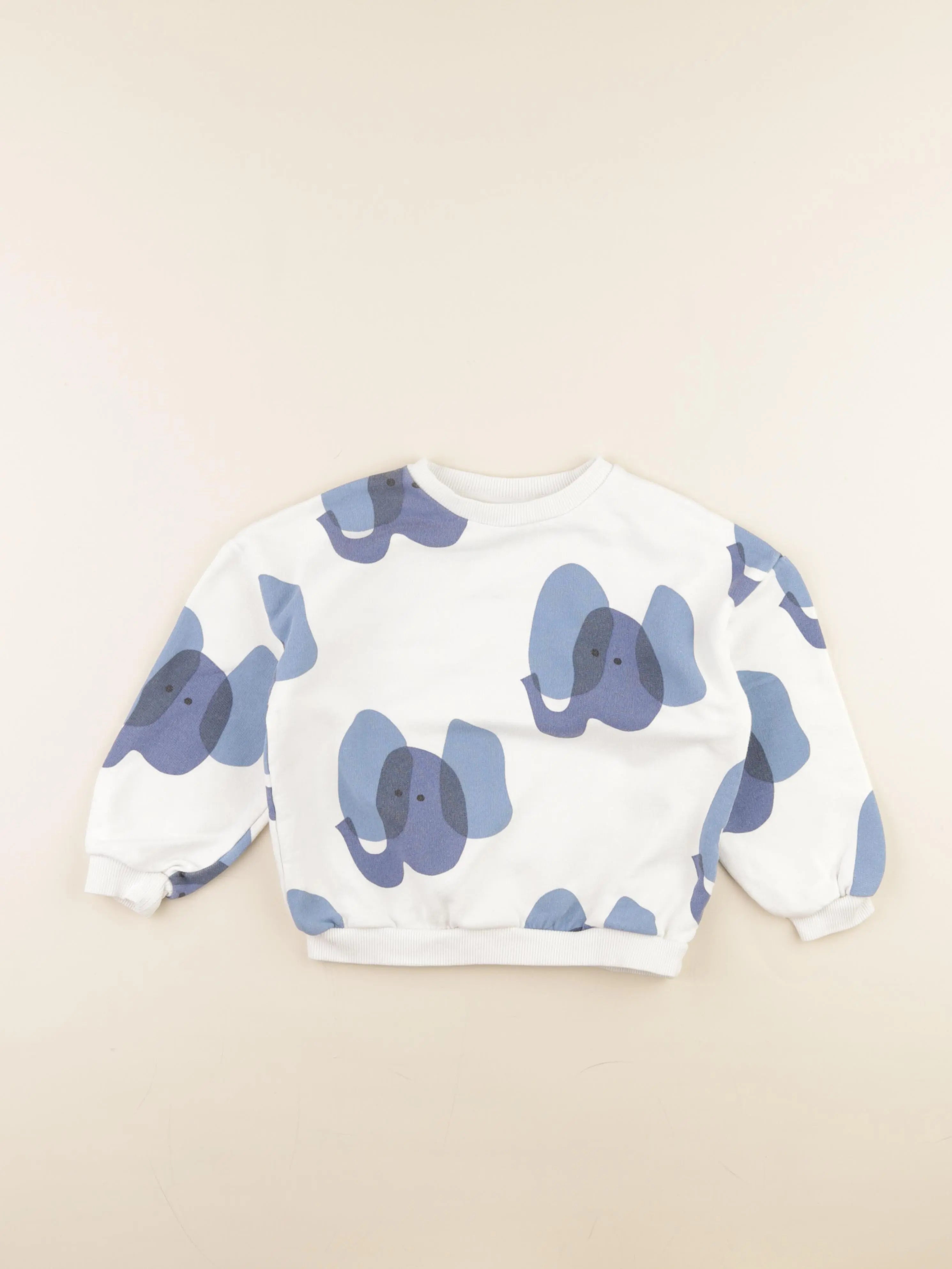 Zara - sweat bleu - 4/5 ans