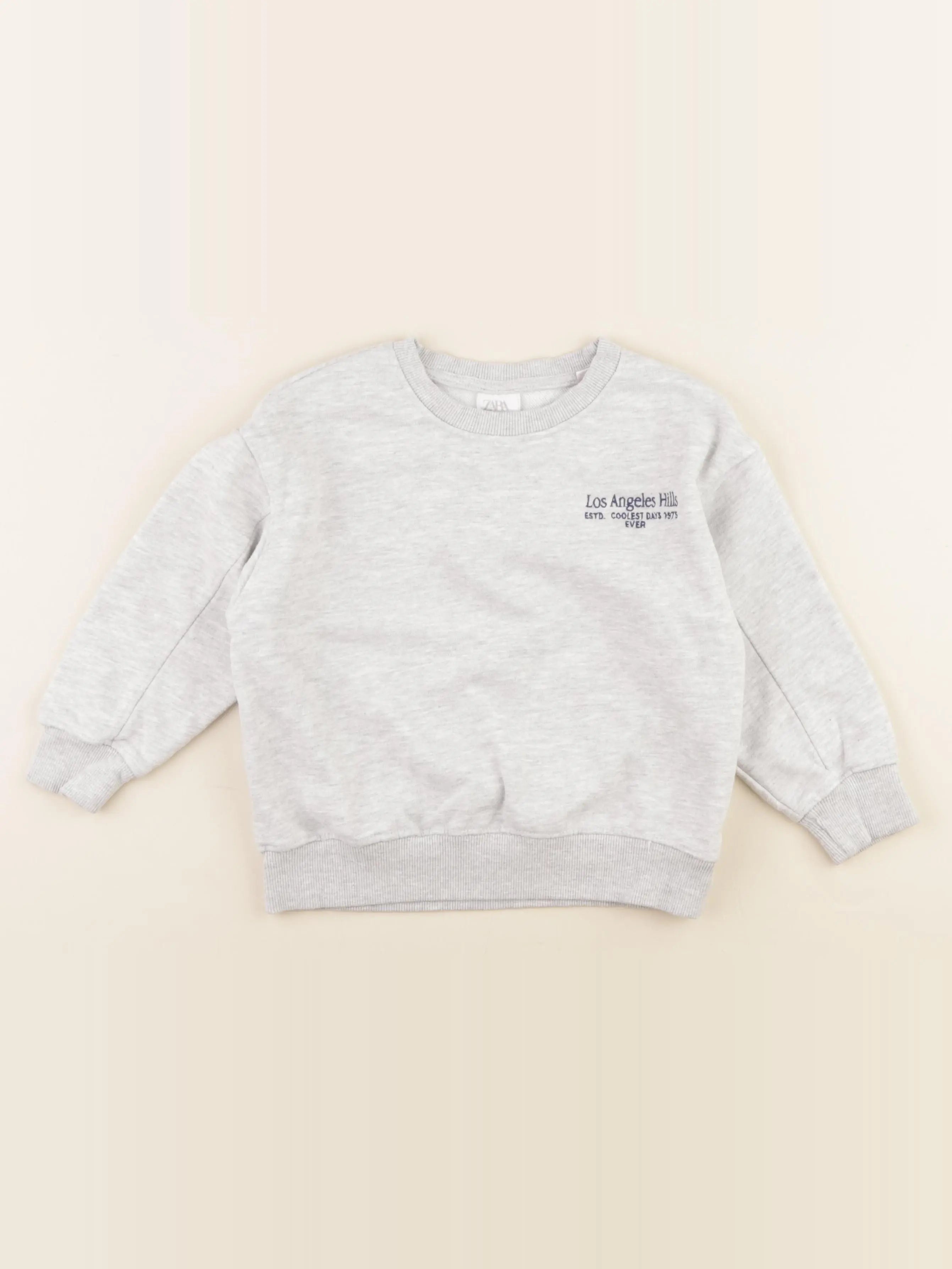 Zara - sweat gris - 5 ans