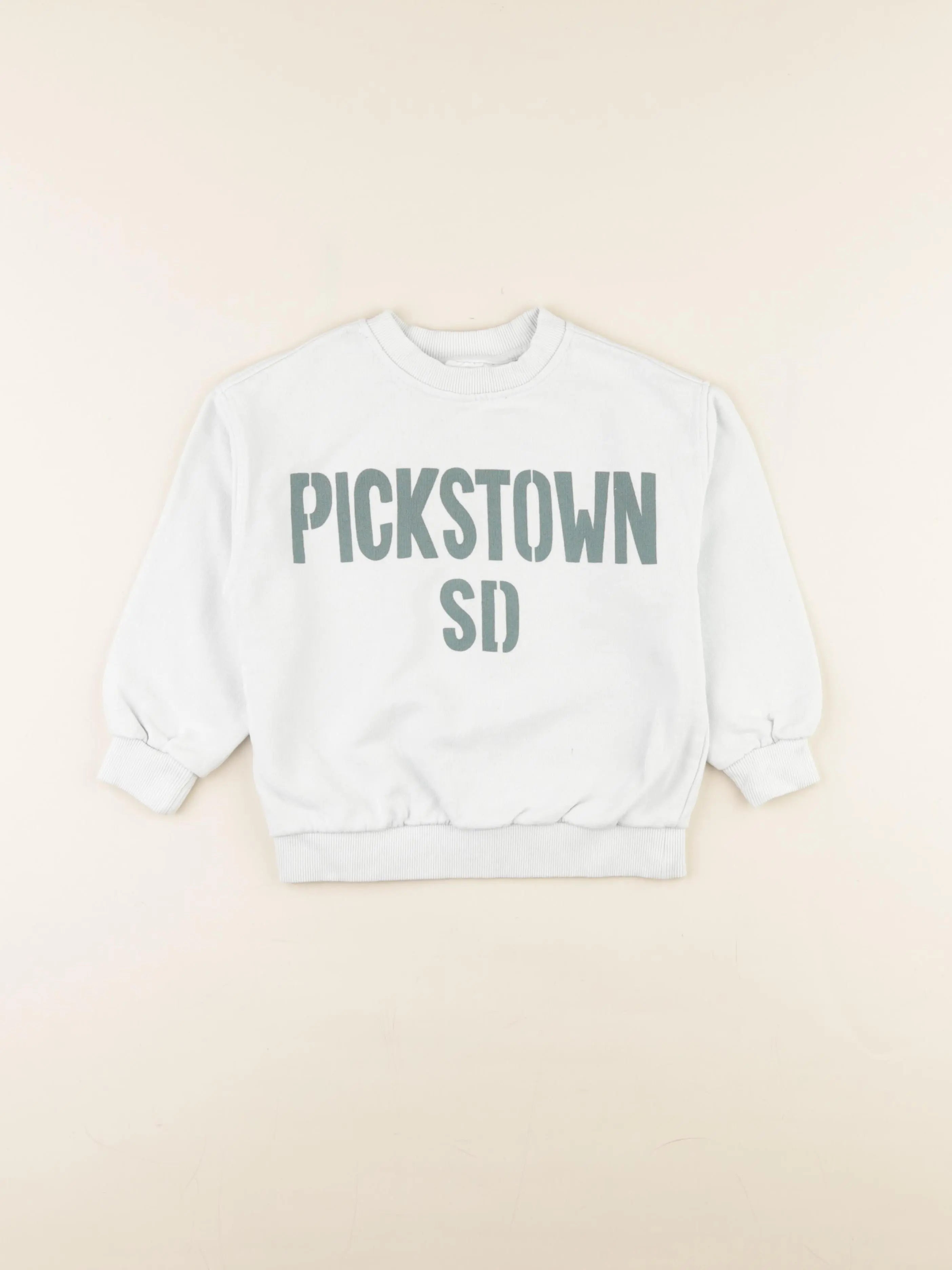 Zara - sweat bleu - 4/5 ans