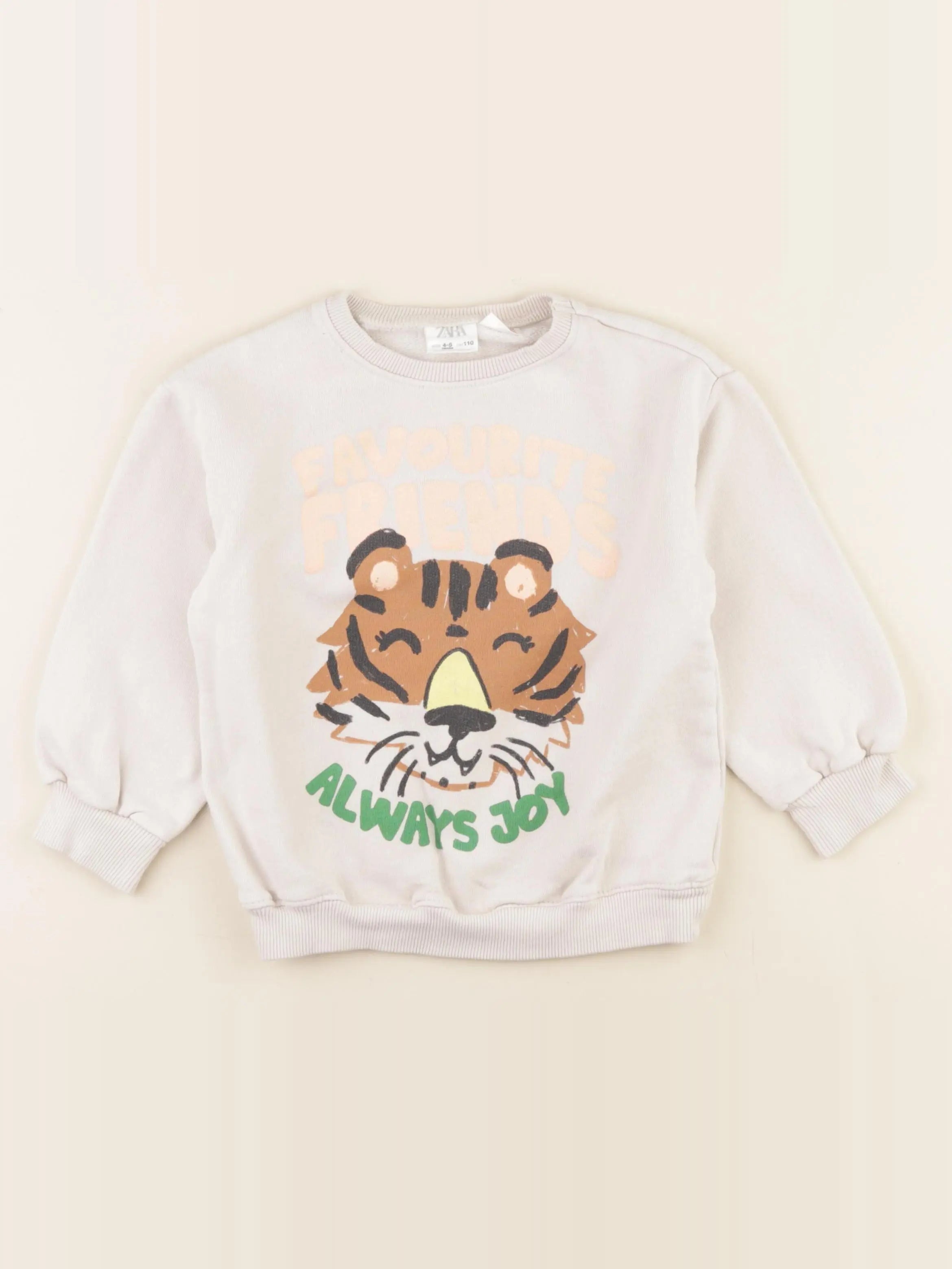 Zara - sweat multicolore - 4/5 ans